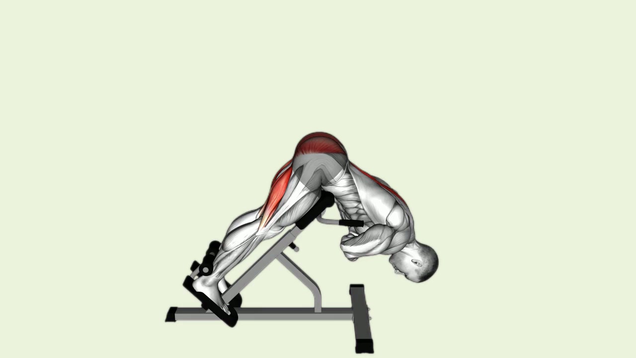 Roman Chair Hyperextension: how the movement is executed