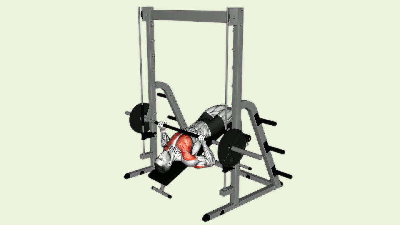 Smith Machine Decline Bench Press: how the movement is executed