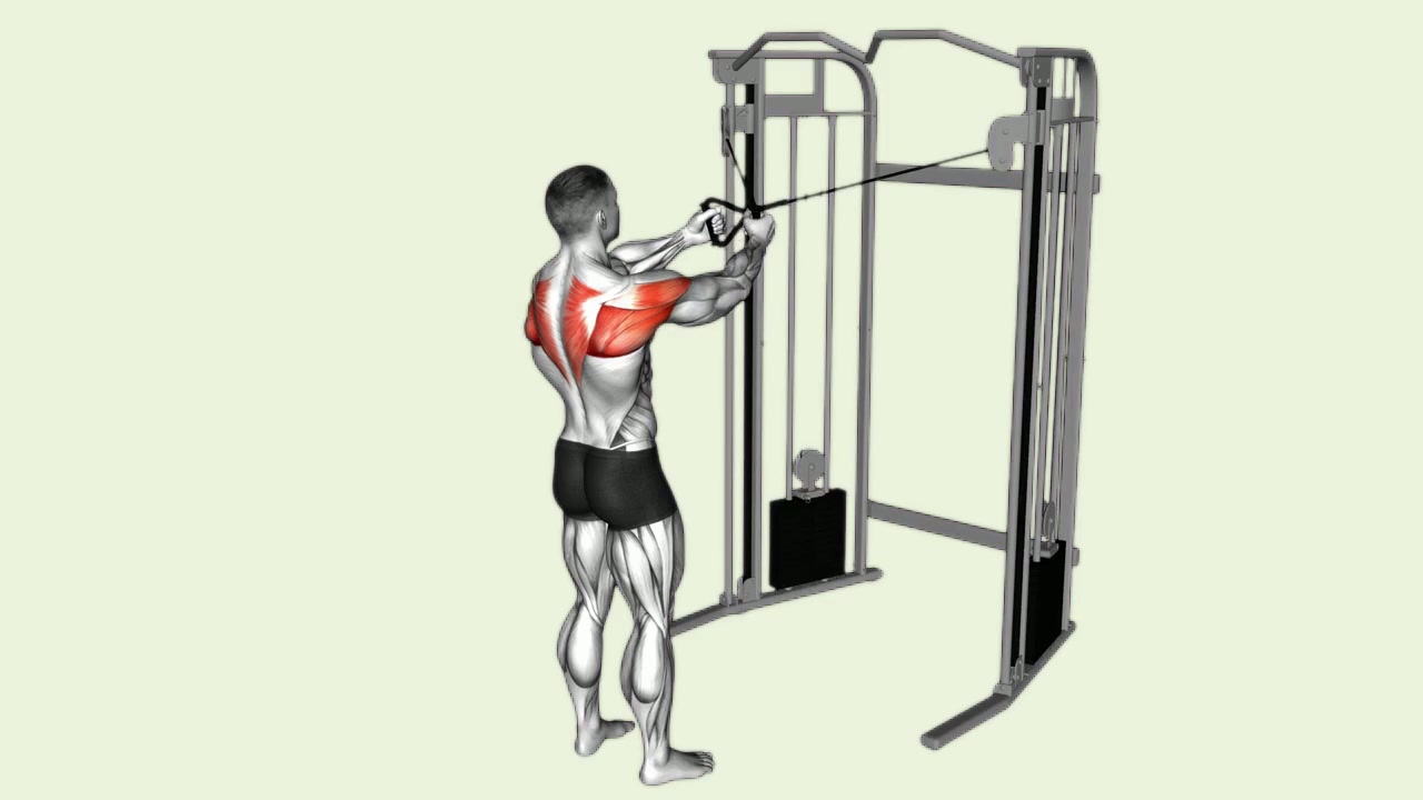 Cable Reverse Fly: how the movement is executed