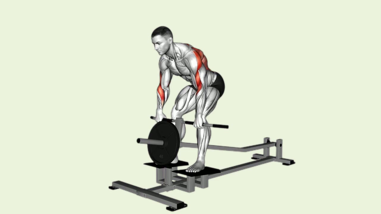 T-Bar Row: how the movement is executed