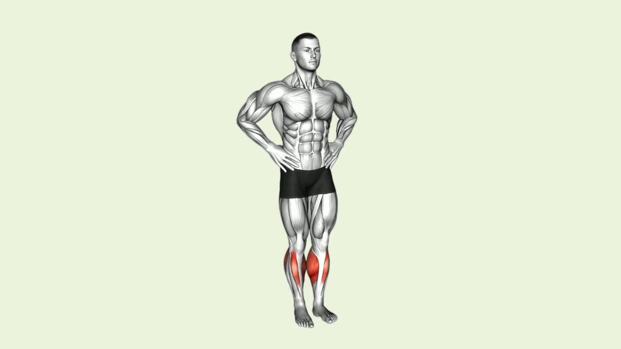 Ankle Circles: how the movement is executed