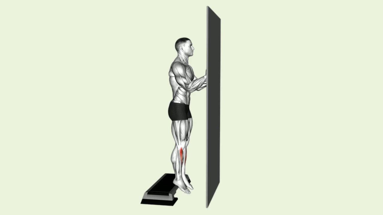 Wall-Supported Tibialis Raise: how the movement is executed