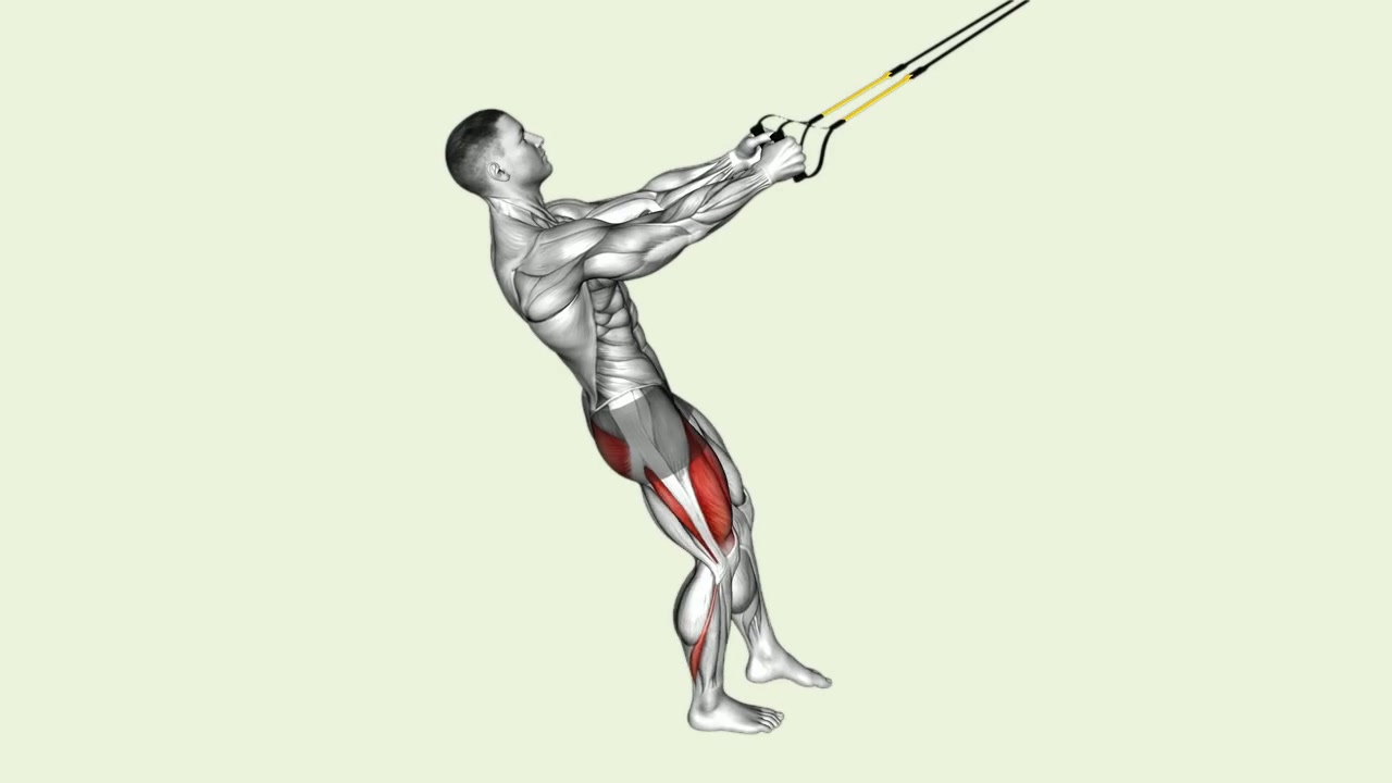 Sentadilla pistol en TRX: demostración de la ejecución