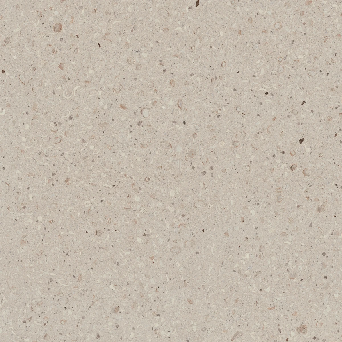 אריחי פורצלן אבן חול 60/60 לריצוף מראה טבעי חמים