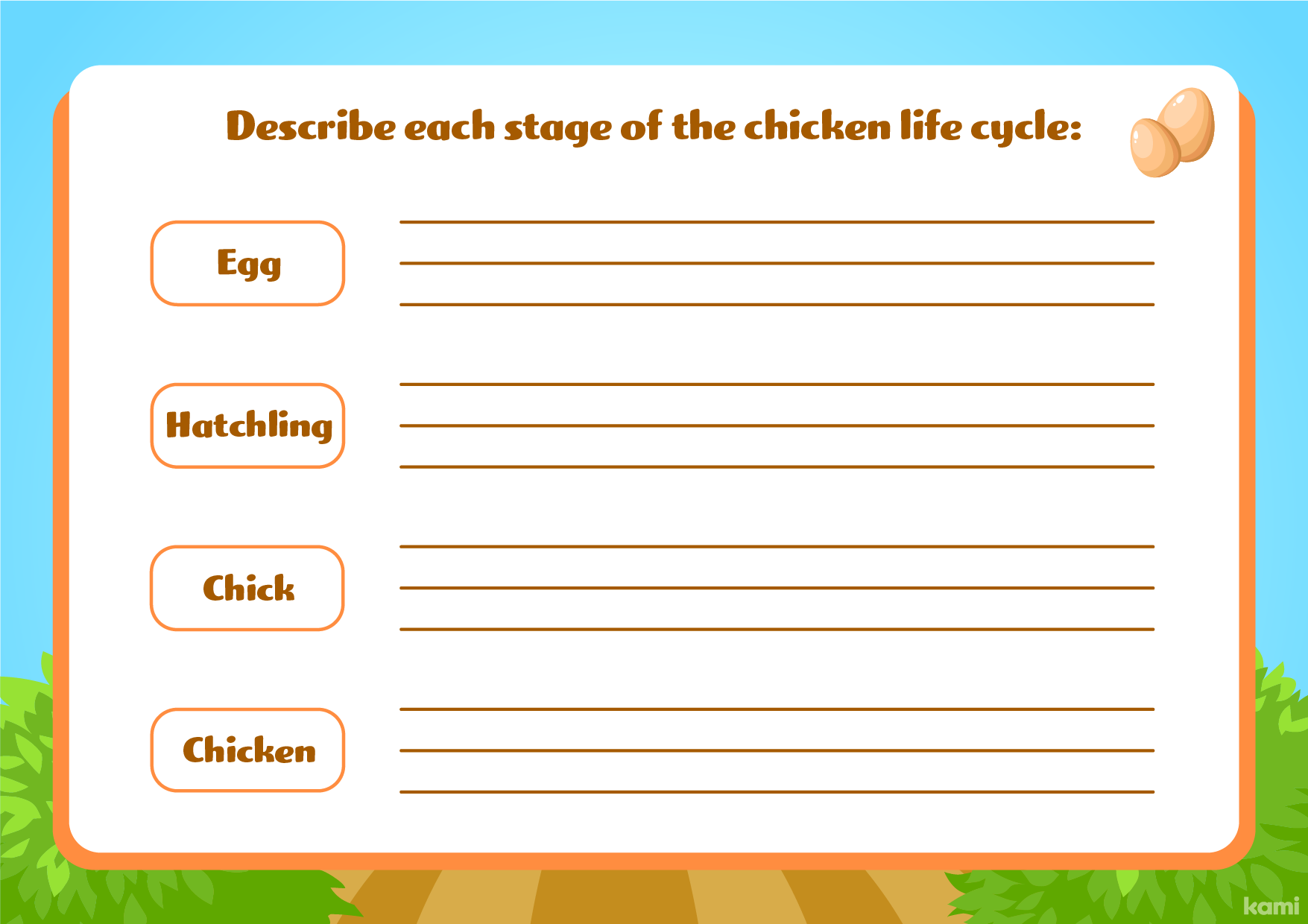 A chicken life cycle worksheet for all grades with a interactive design.