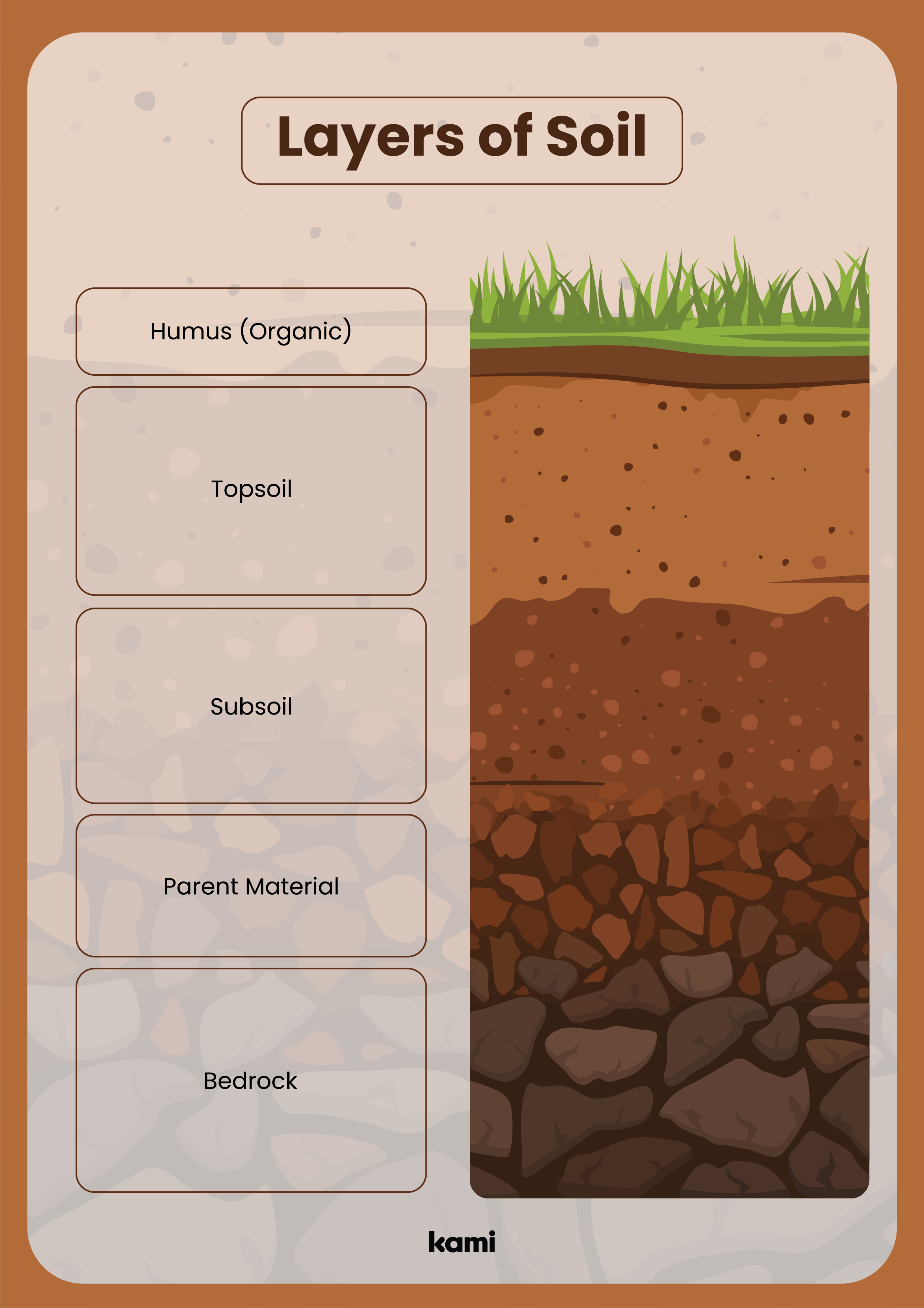 Soil Layers Worksheet