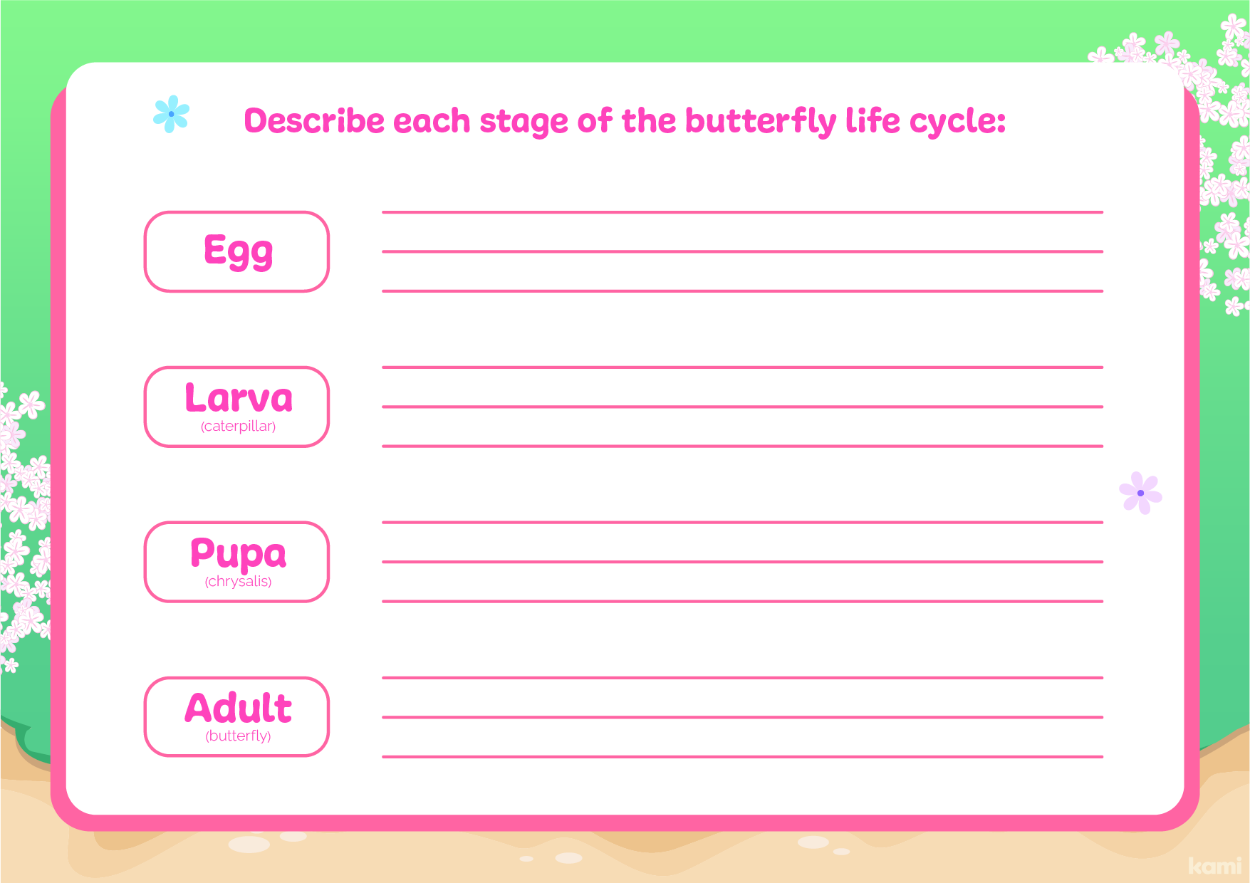 A butterfly life cycle for 4th-12th graders with a interactive design.