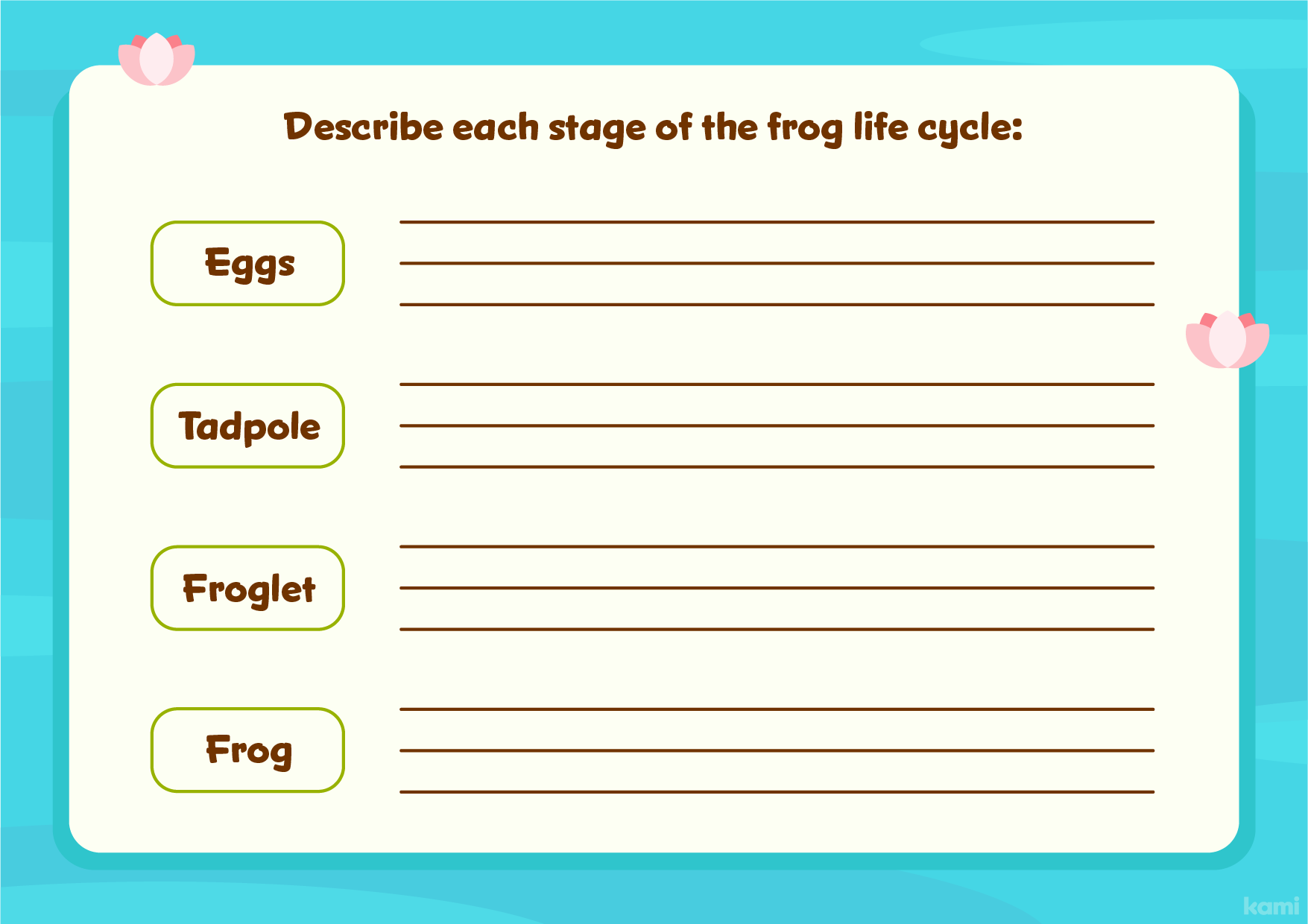 A frog life cycle worksheet for 4th-12th graders with a interactive design.