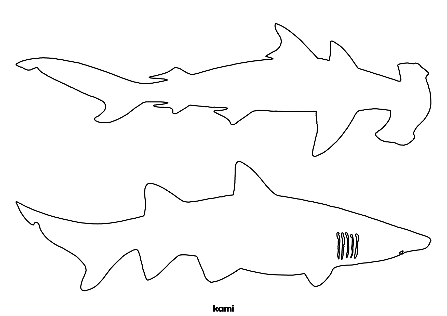 Shark Template Two Outlines for Teachers Perfect for grades 10th