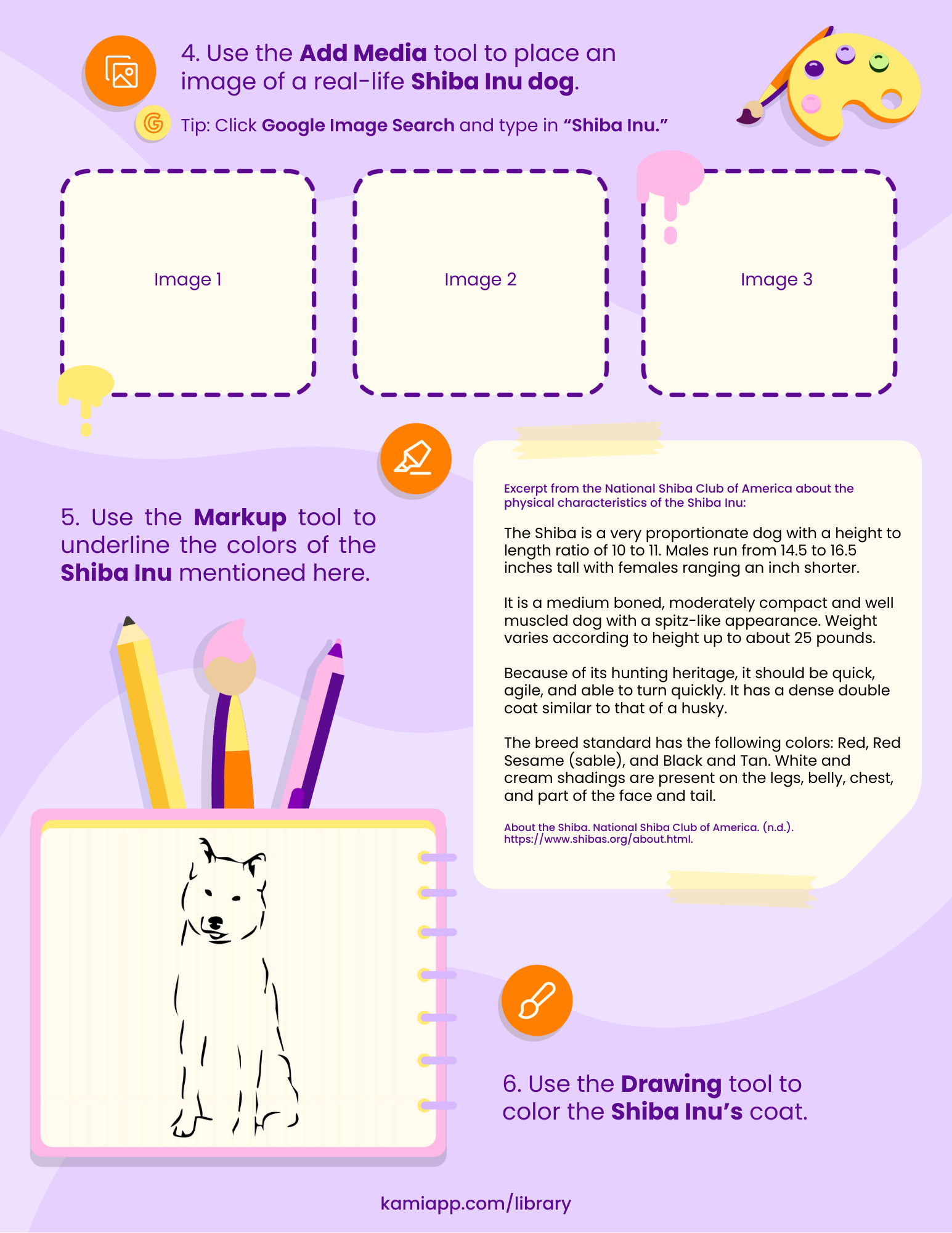 A secondary-level Kami scavenger hunt page with activities to add dog images, underline coat colours, and draw a Shiba Inu’s markings.