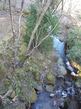 松川上流の沢