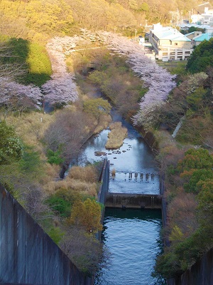 ここから町へ流れていく最初の場所です