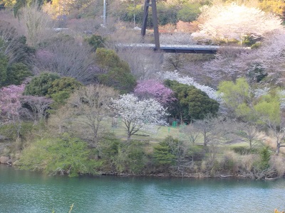 対岸から見たエコーブリッジ