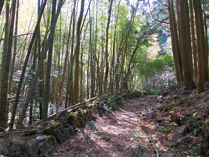 古道（旧下田街道）