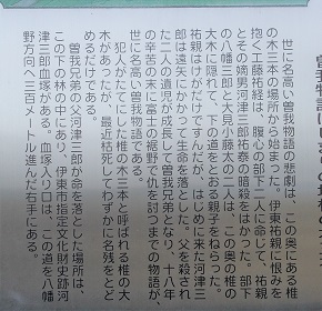 「曾我物語はじまりの地椎の木三本」の解説文