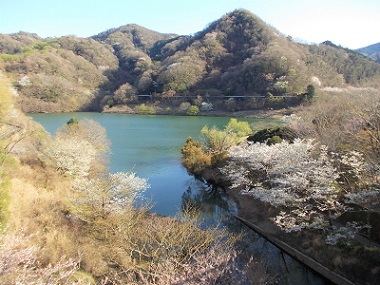 エコーブリッジから見た松川湖