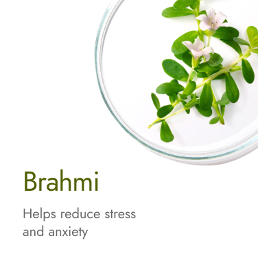 brahmi