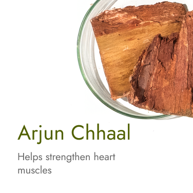arjuna chaal