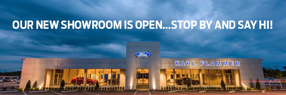 Karl Flammer Ford