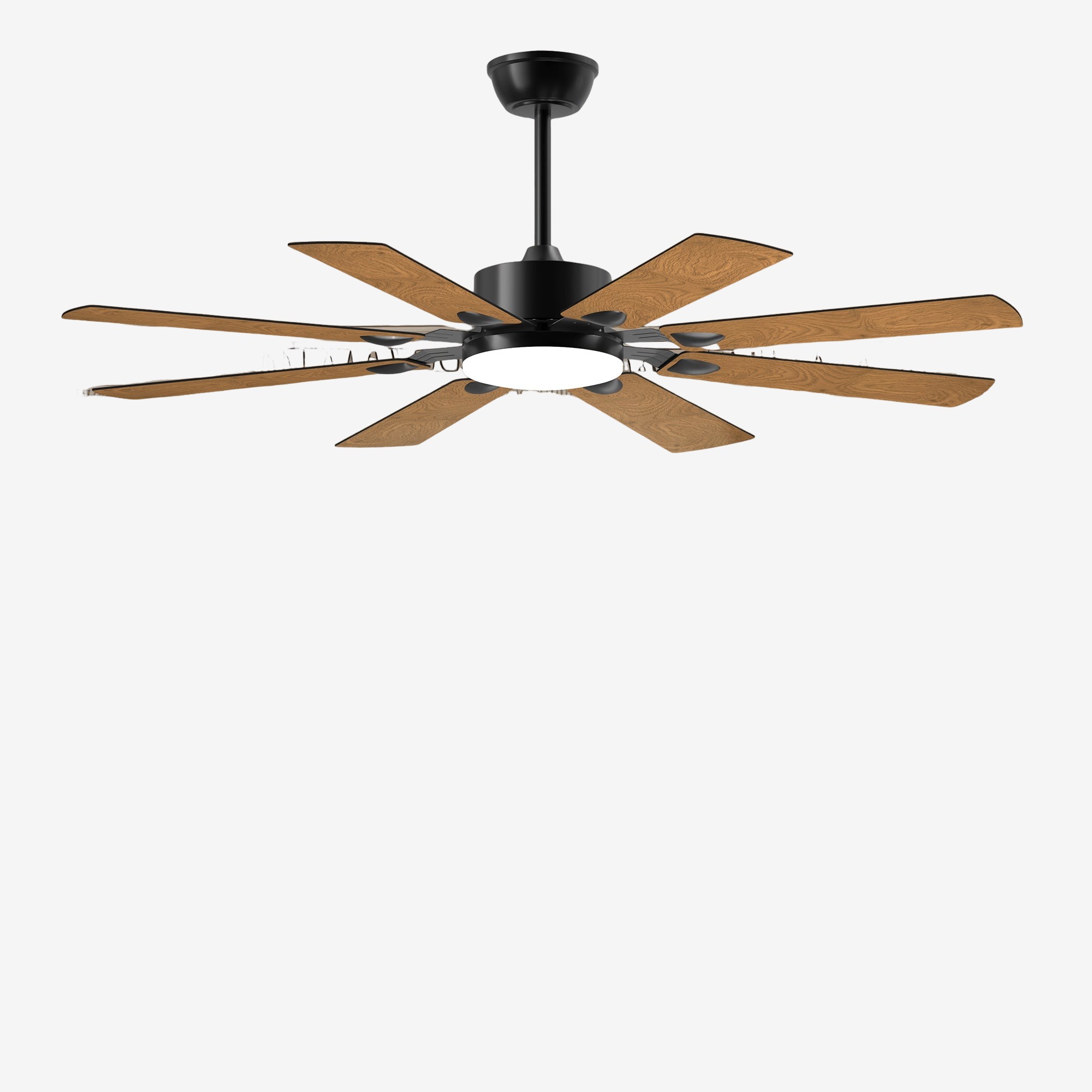 Ceiling Fan with Lights and Remote Control, 8 Plywood Blades, 6-Speed ...