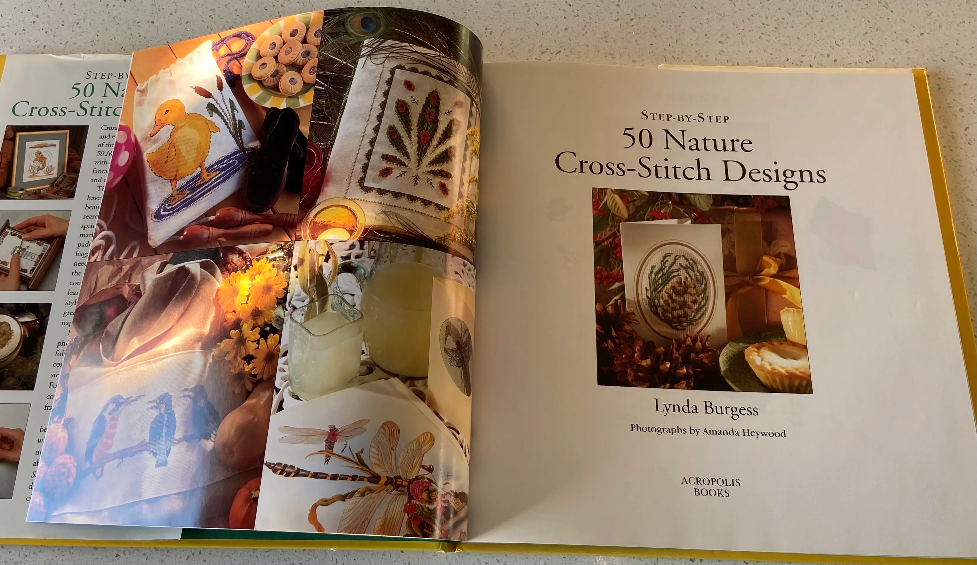 Step-By-Step 50 Nature Cross-Stitch Designs - Image 3
