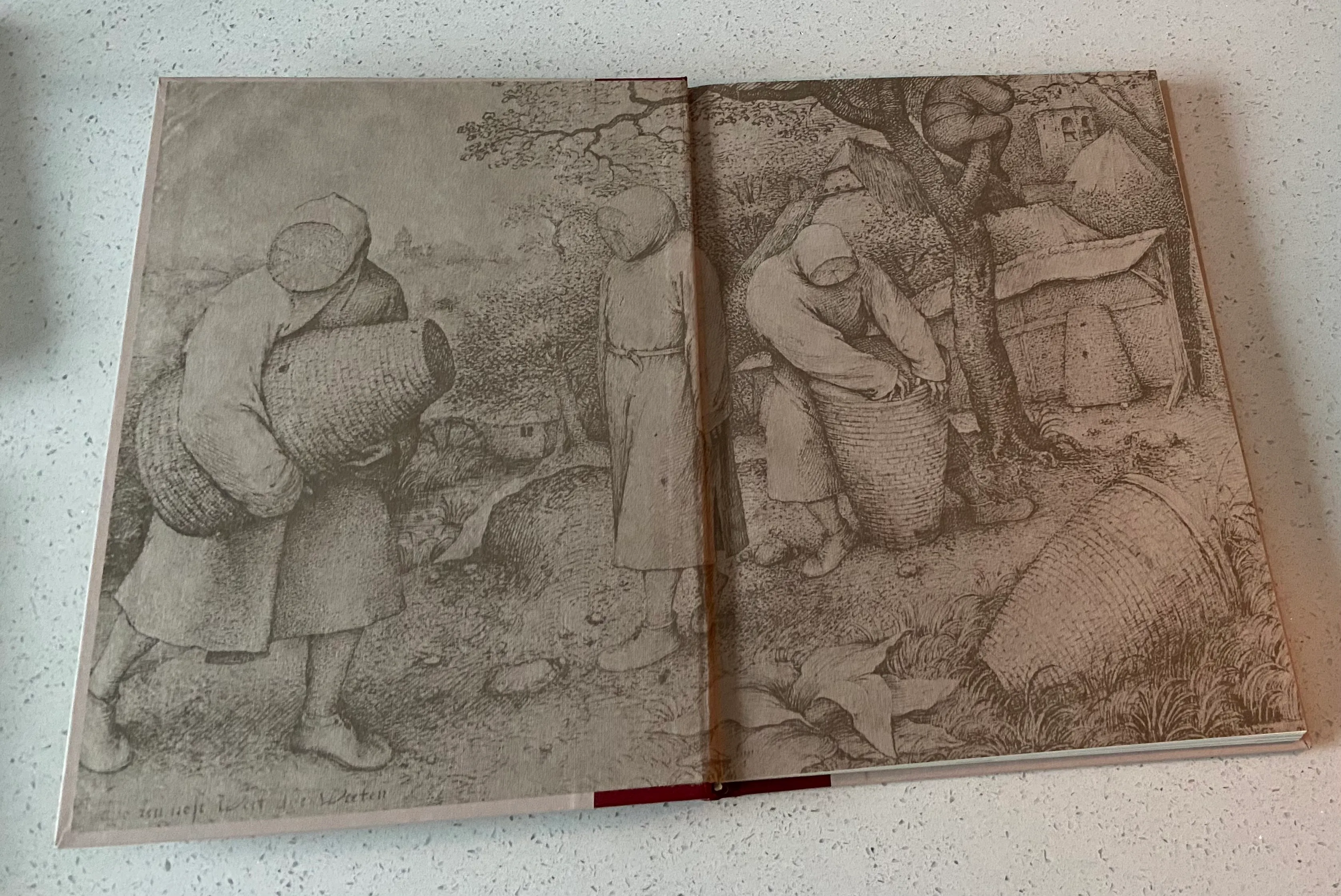 The World of Bruegel c.1525-1569 (Time-Life Library of Art) - Image 4