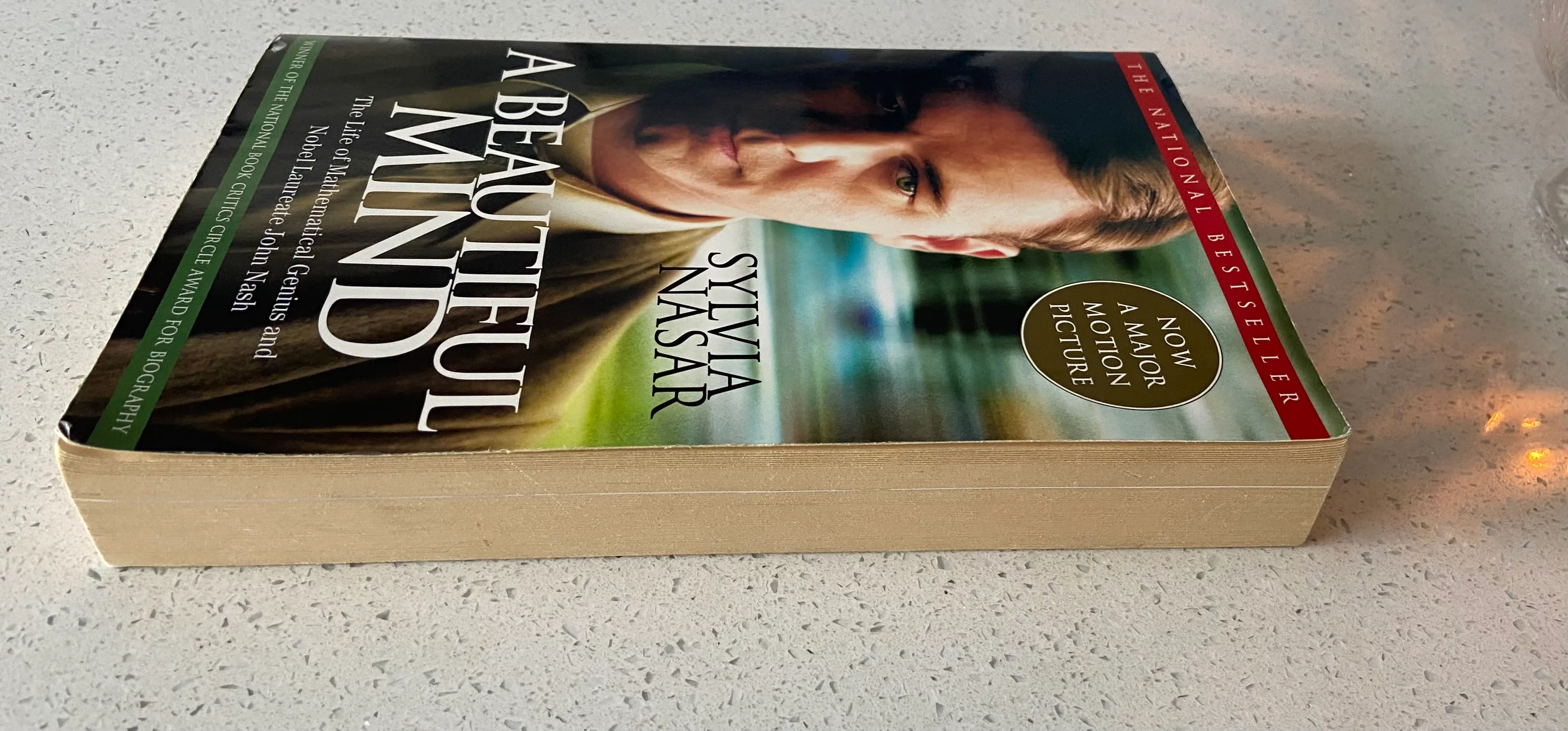 A Beautiful Mind: The Life of Mathematical Genius and Nobel Laureate John Nash - Image 3