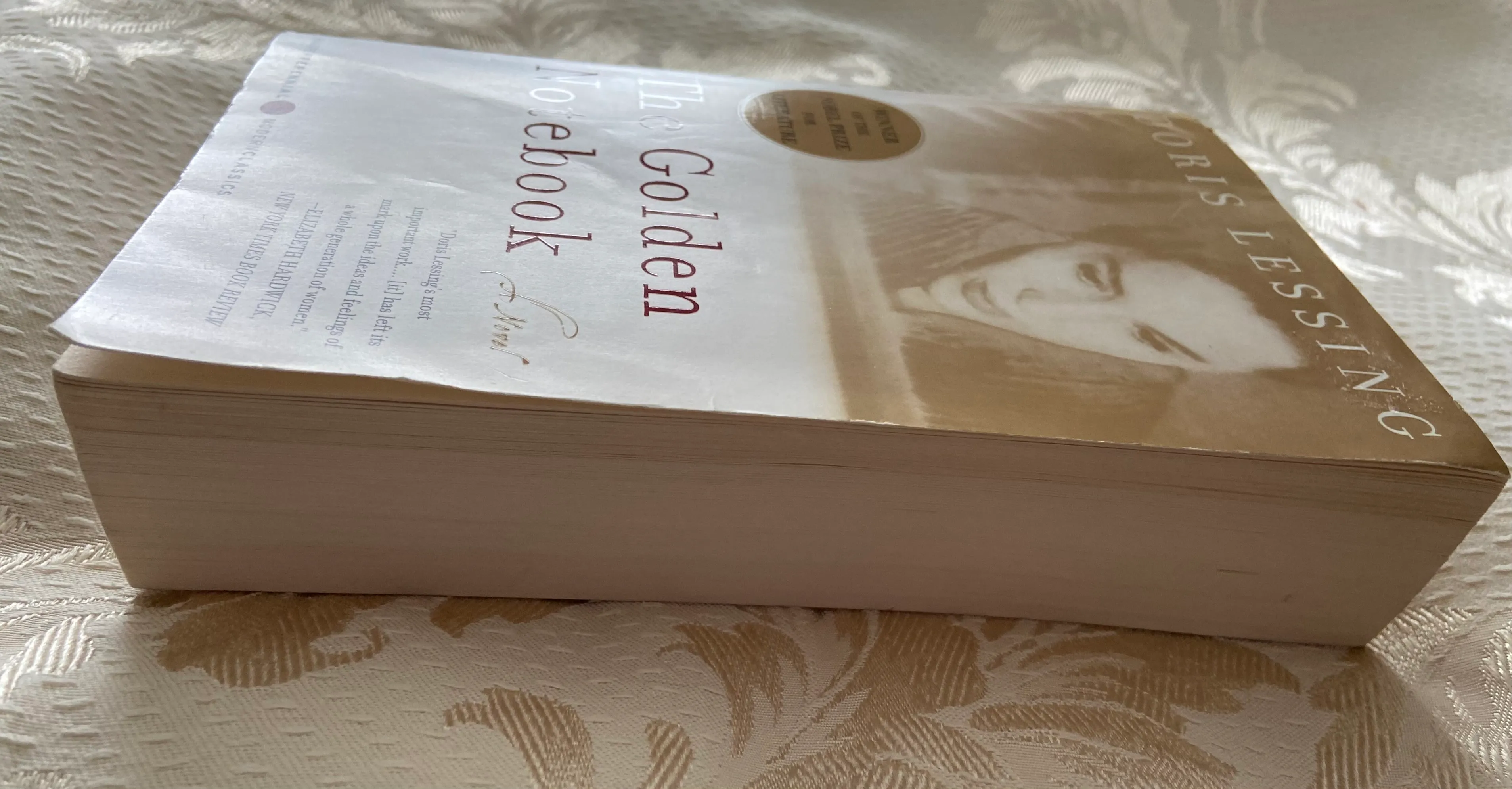 The Golden Notebook - Image 2