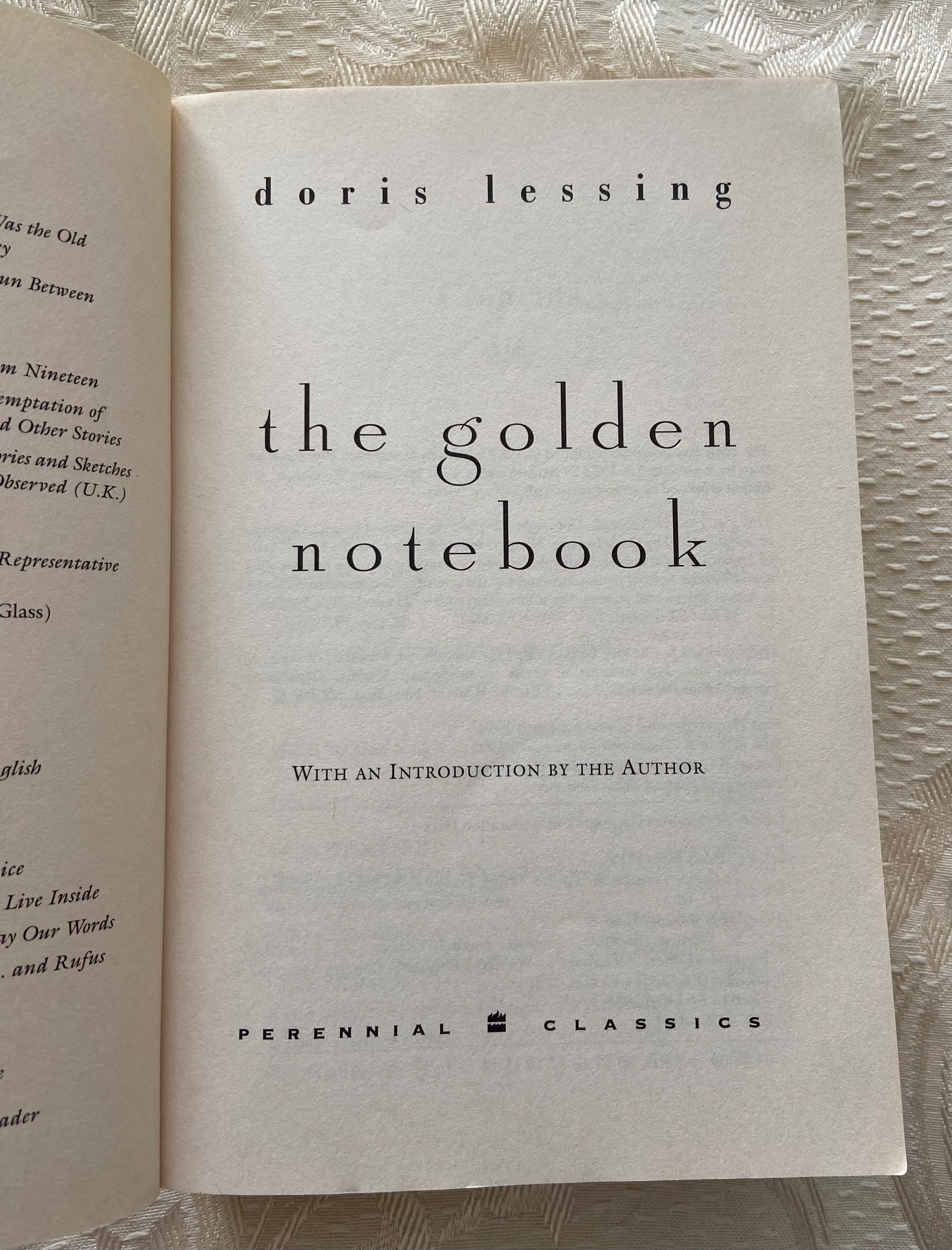 The Golden Notebook - Image 3