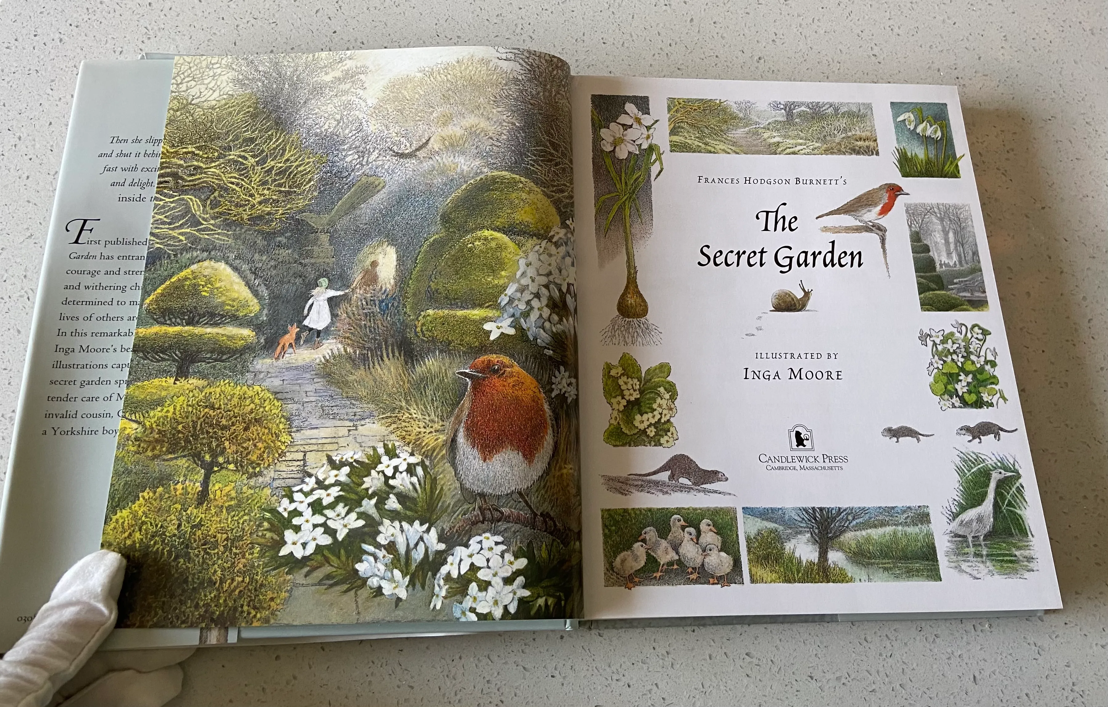 The Secret Garden - Image 3