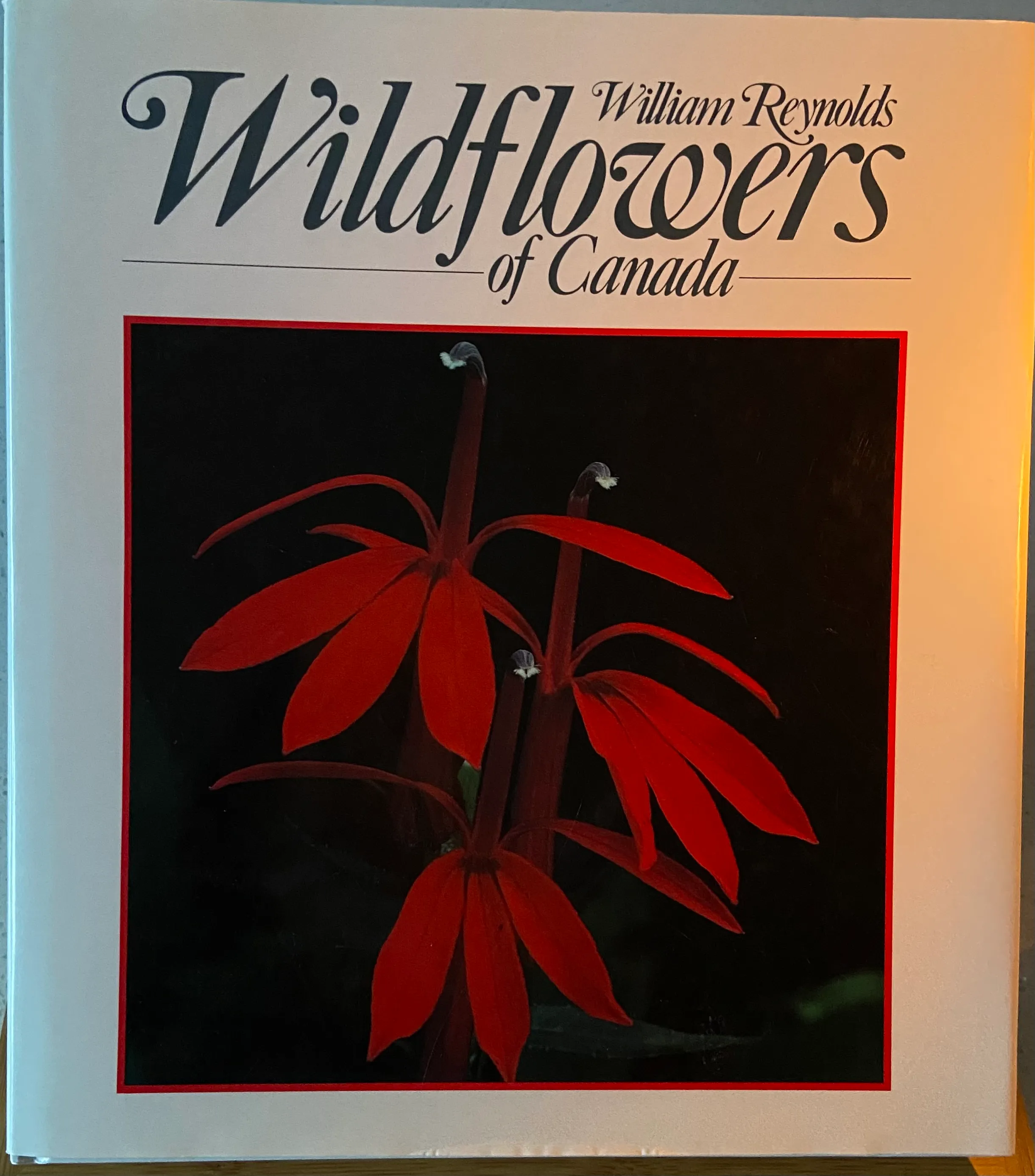 Wildflowers of Canada