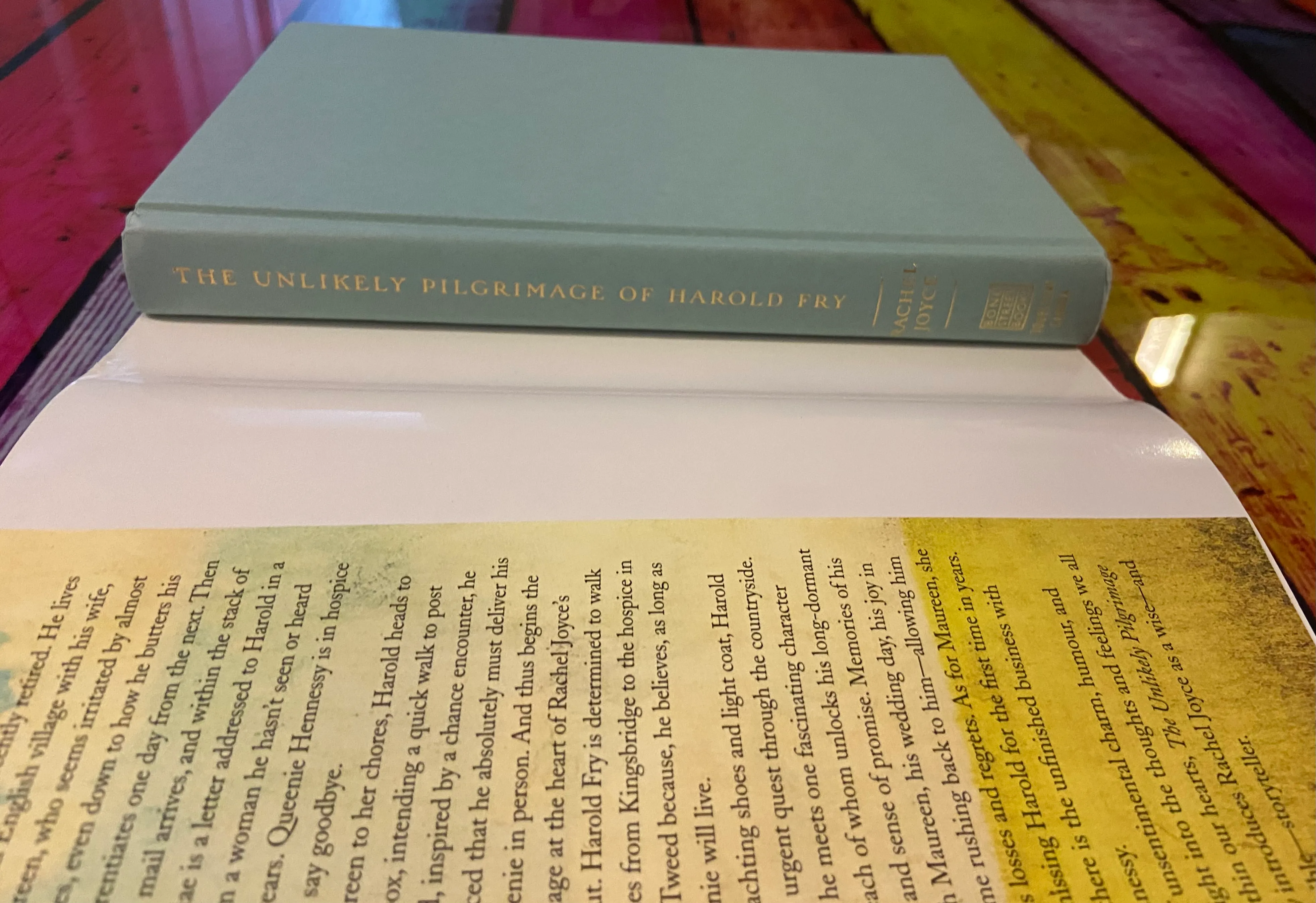 The Unlikely Pilgrimage of Harold Fry - Image 5