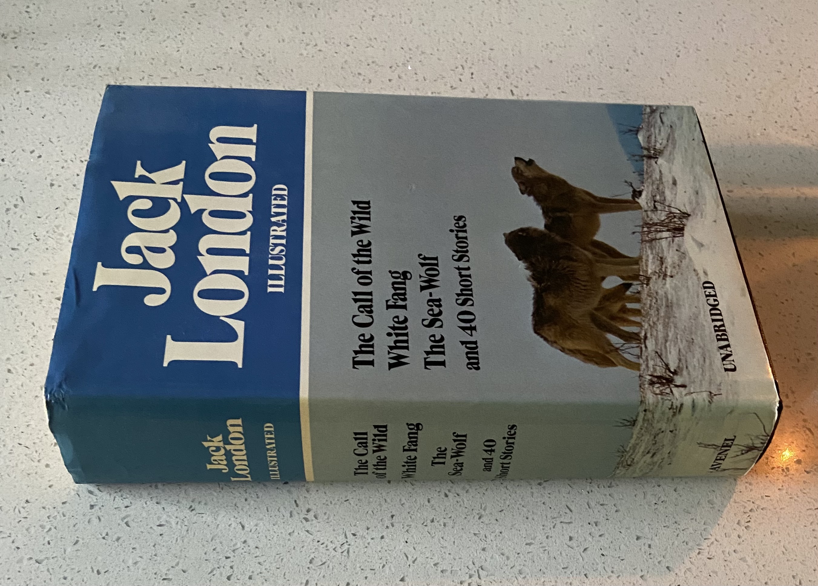 Jack London Illustrated: The Call of the Wild, White Fang, The Sea-Wolf, and 40 Short Stories - Image 2