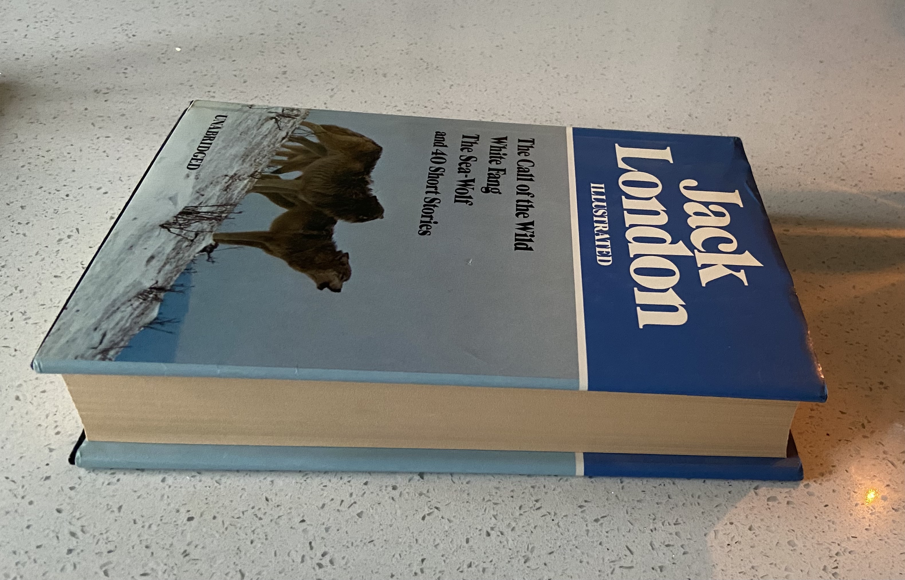 Jack London Illustrated: The Call of the Wild, White Fang, The Sea-Wolf, and 40 Short Stories - Image 3