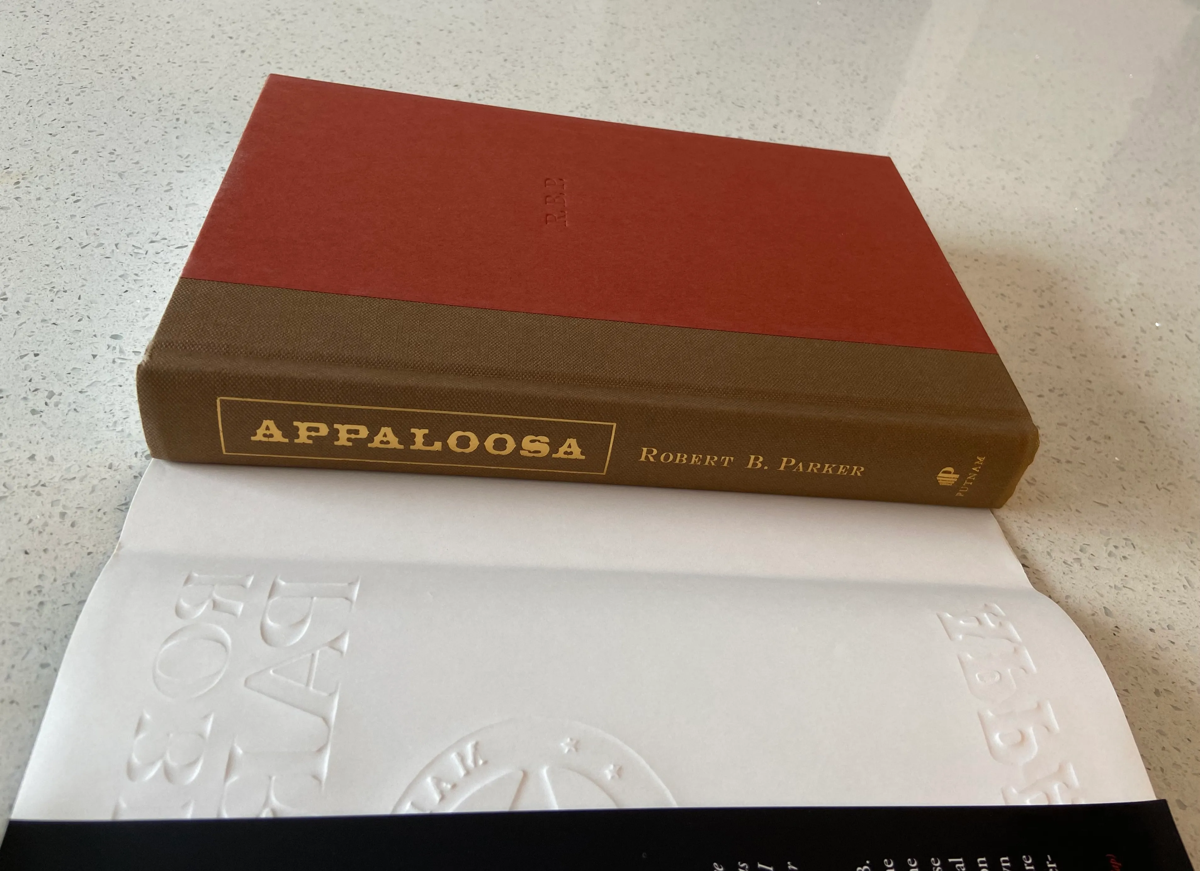 Appaloosa - Image 6