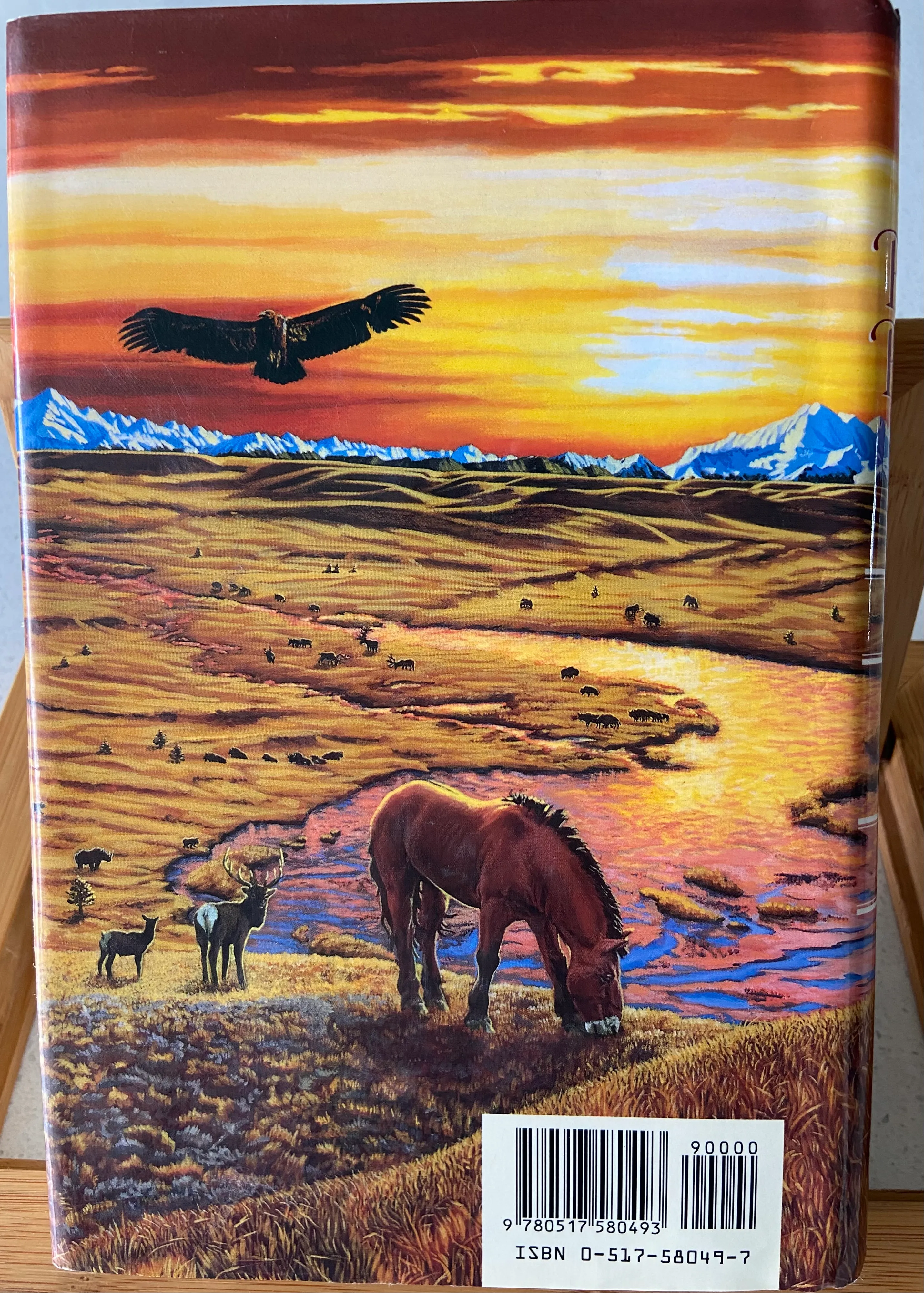 The Plains of Passage - Image 2
