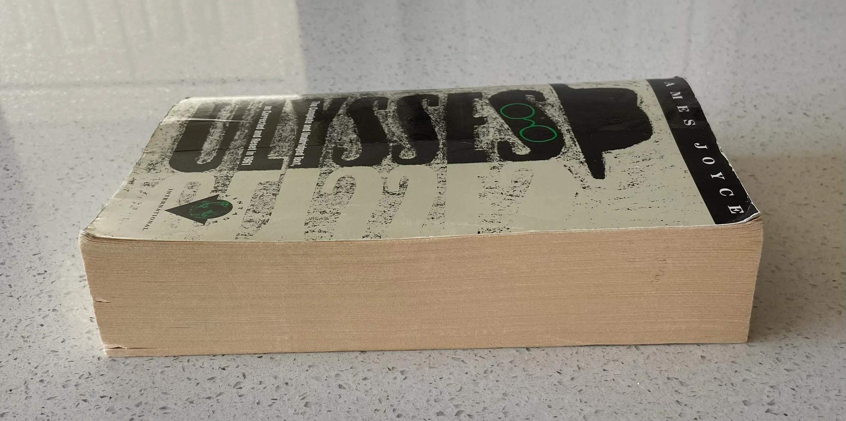 Ulysses - Image 2