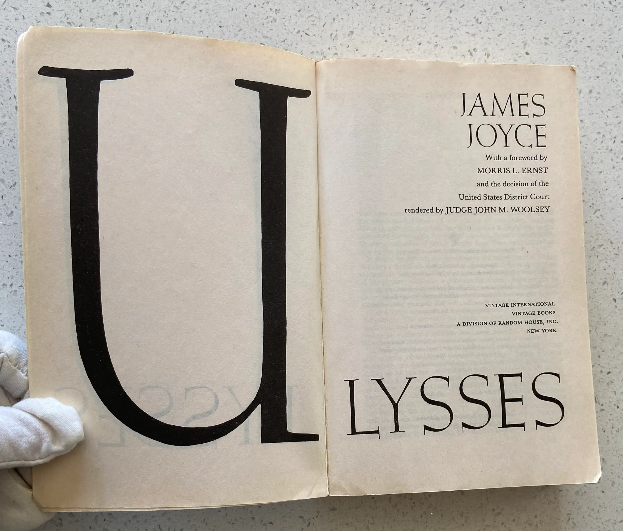 Ulysses - Image 3