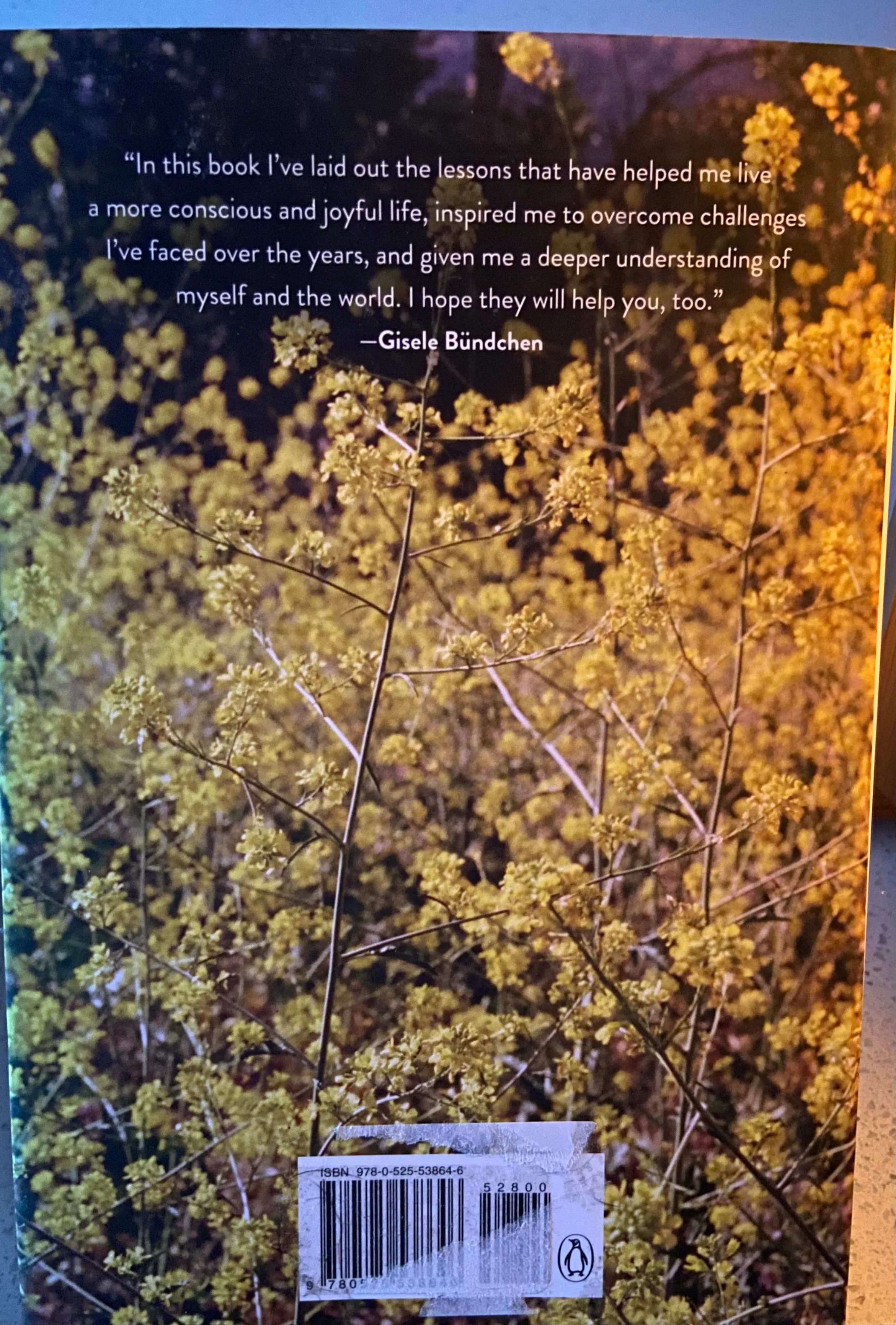 Lessons: My Path To A Meaningful Life - Image 2