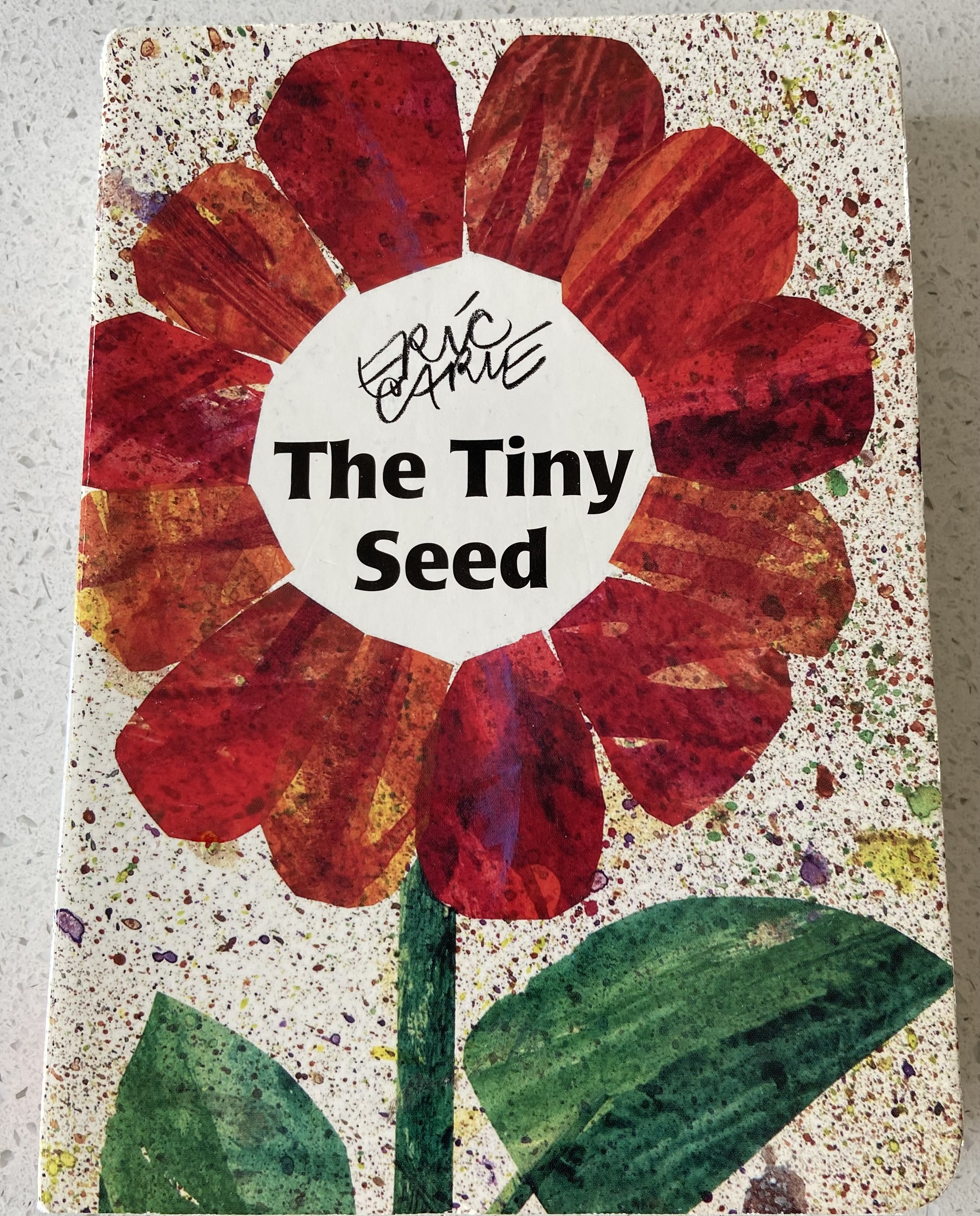 The Tiny Seed