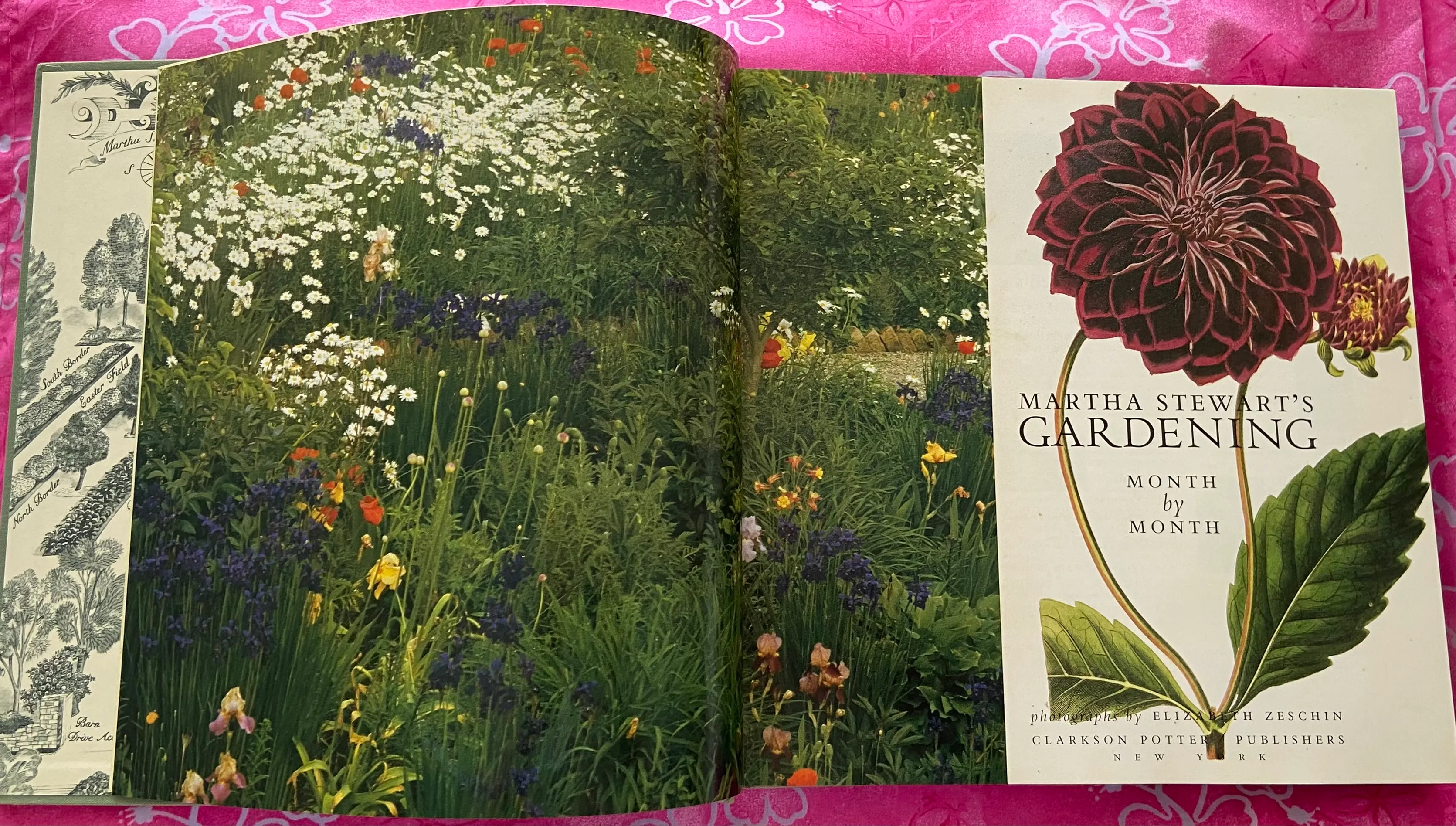 Gardening: Month By Month - Image 3