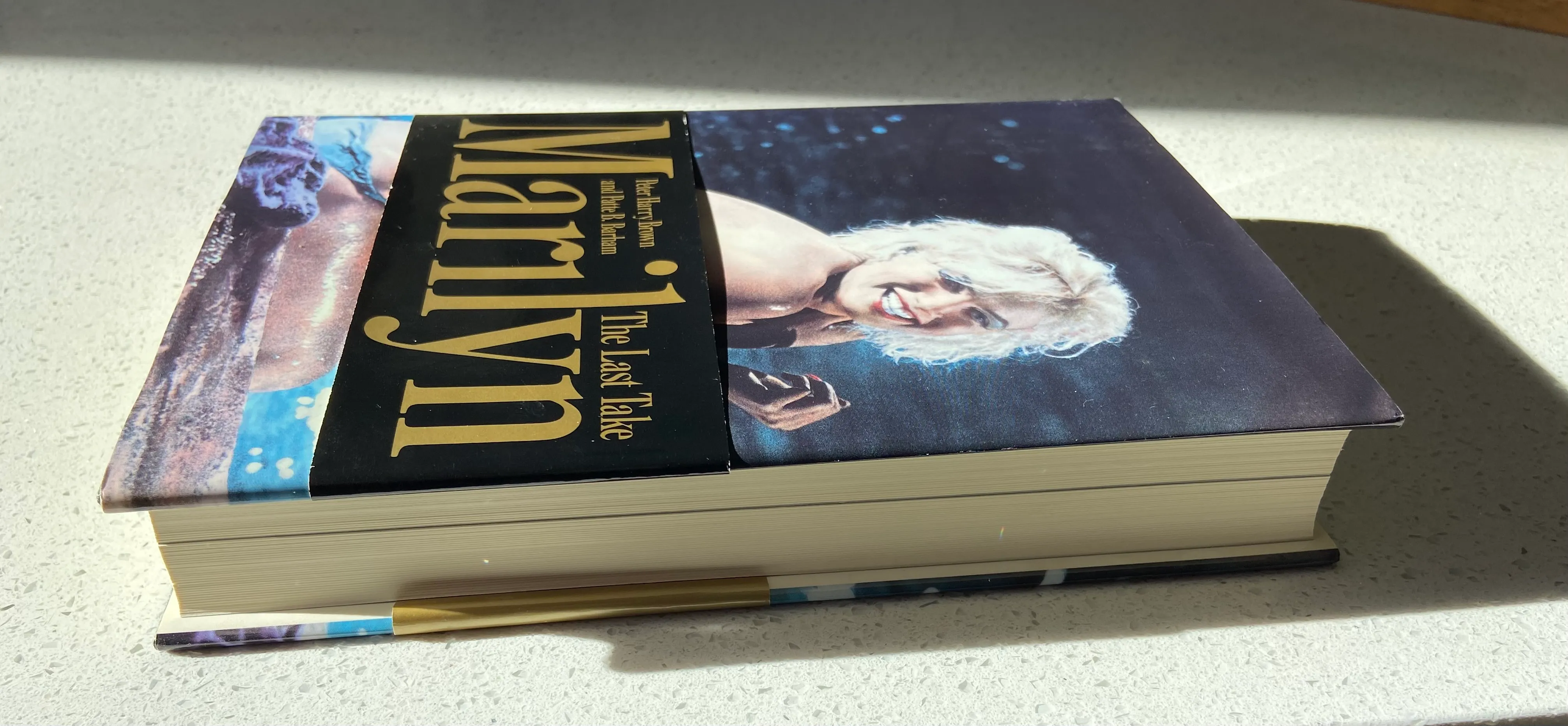 Marilyn: The Last Take - Image 3