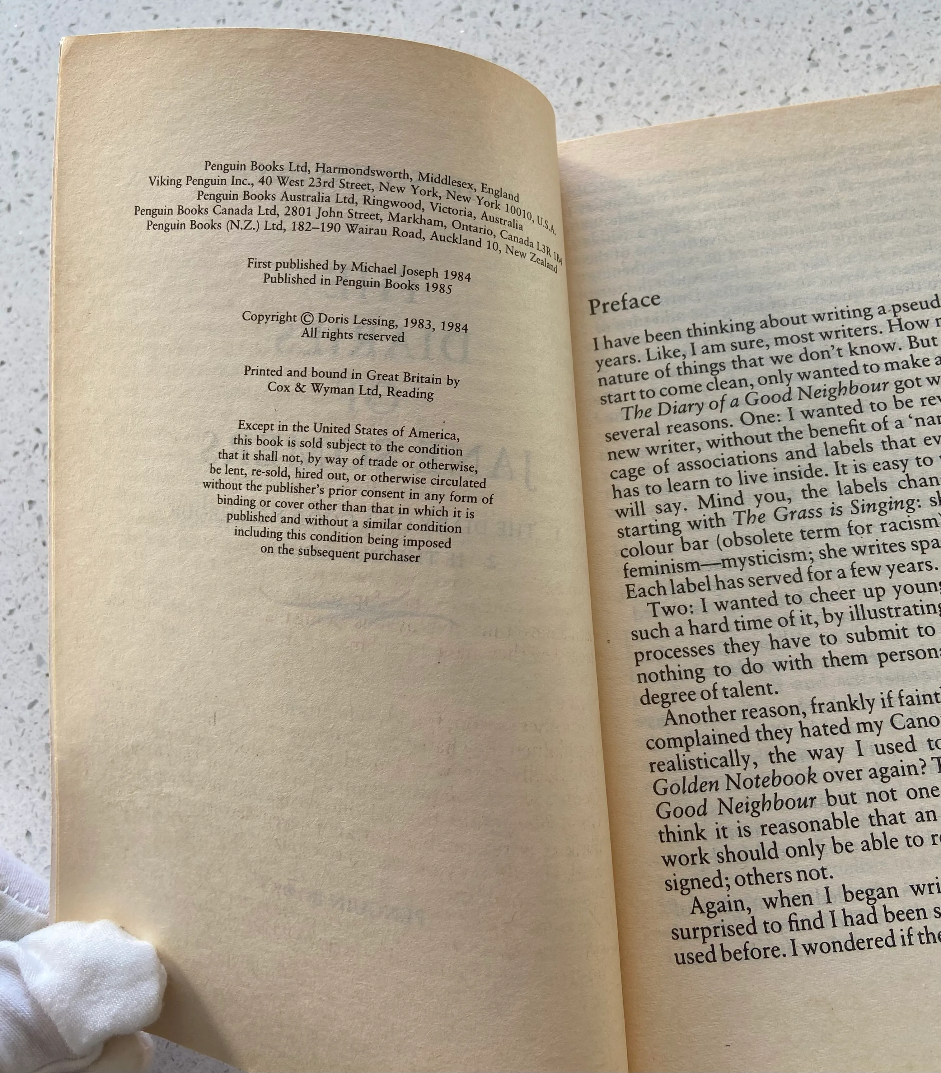 The Diaries of Jane Somers - Image 3