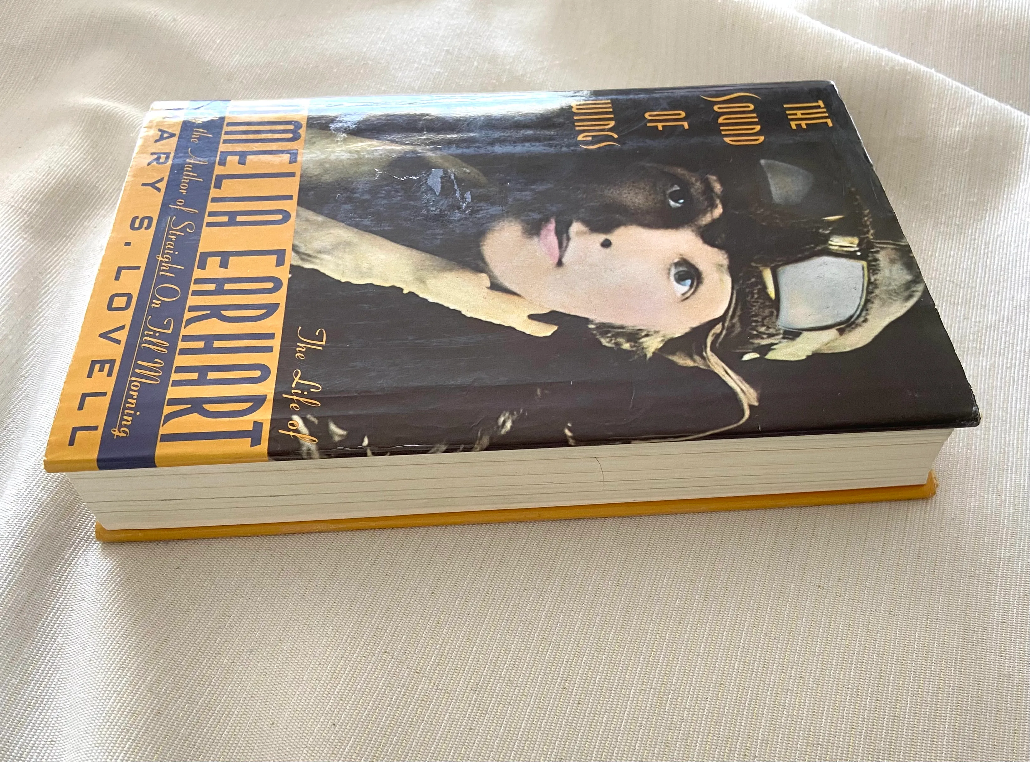 The Sound of Wings: The Life of Amelia Earhart - Image 2