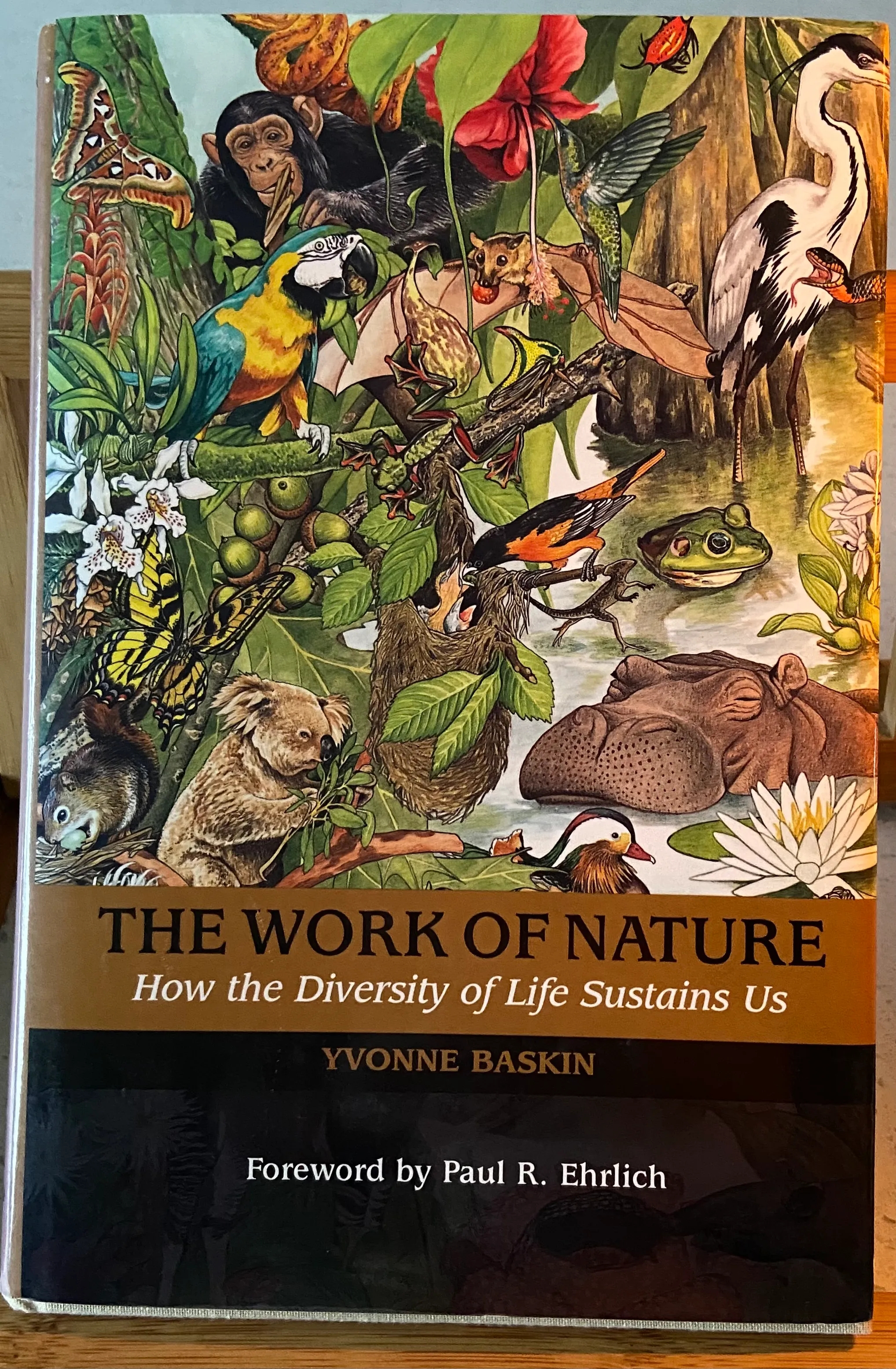 The Work of Nature: How The Diversity Of Life Sustains Us