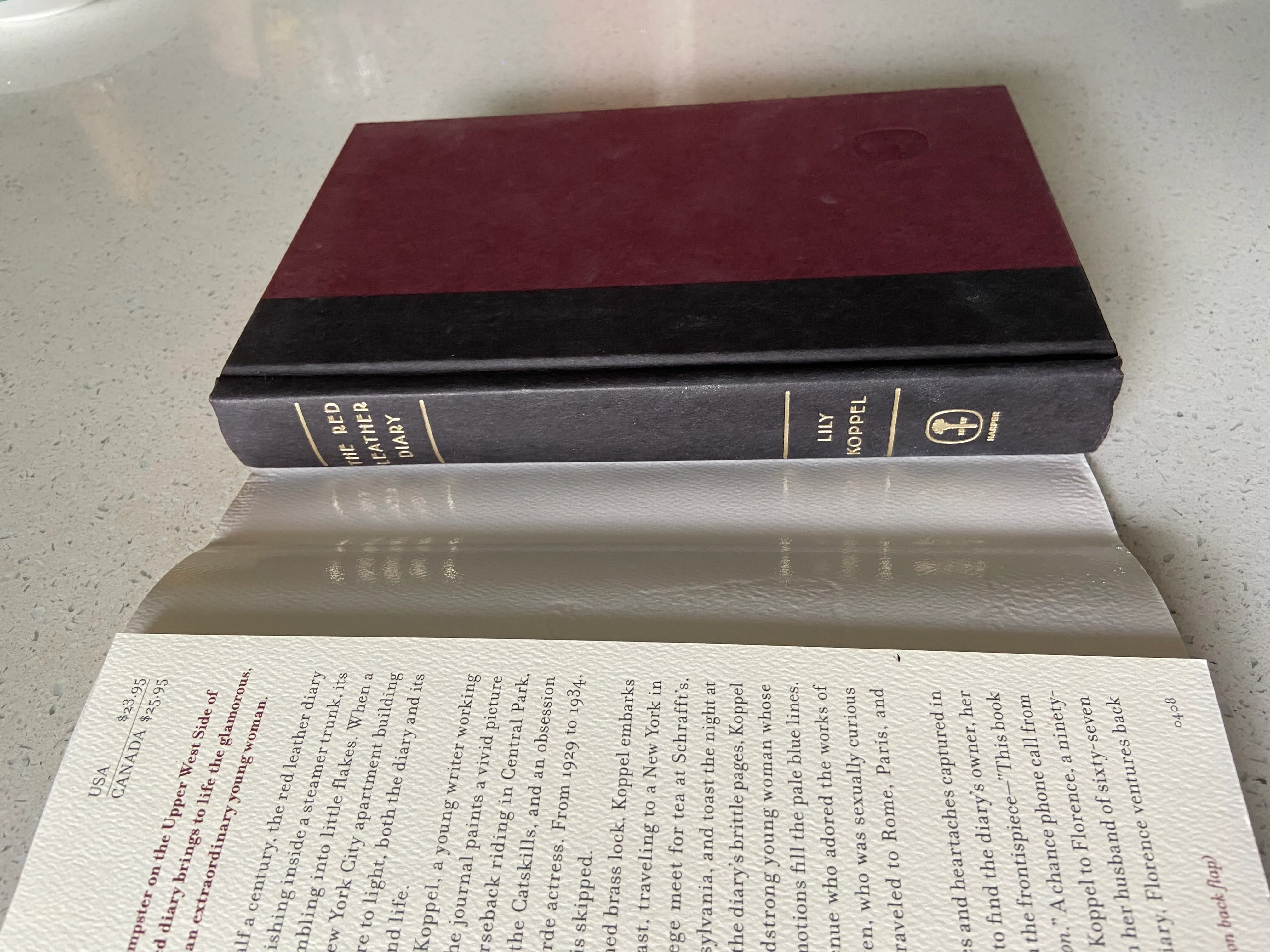 The Red Leather Diary: Reclaiming a Life Through the Pages of a Lost Journal - Image 4