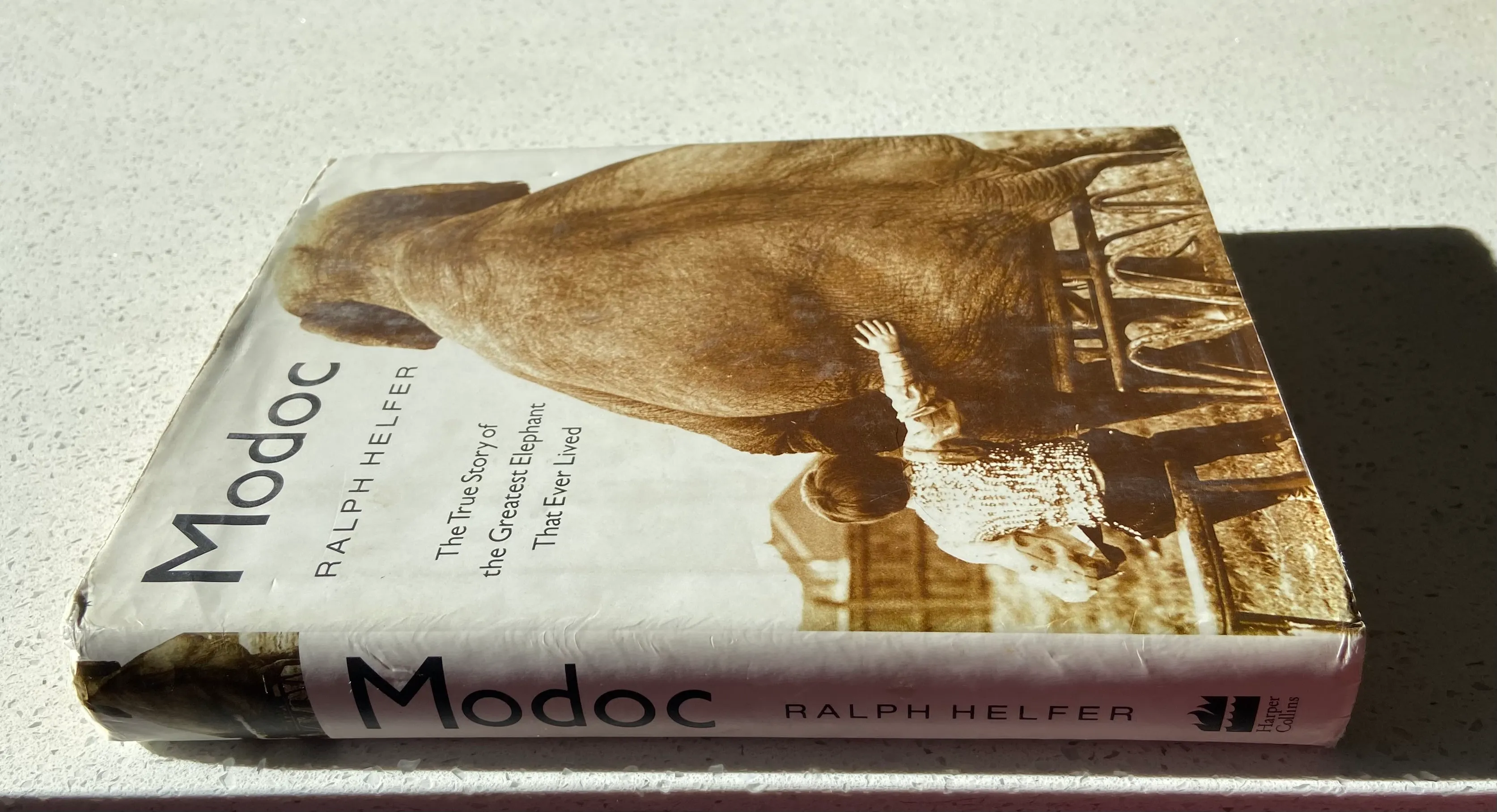 Modoc: The True Story of the Greatest Elephant That Ever Lived - Image 2