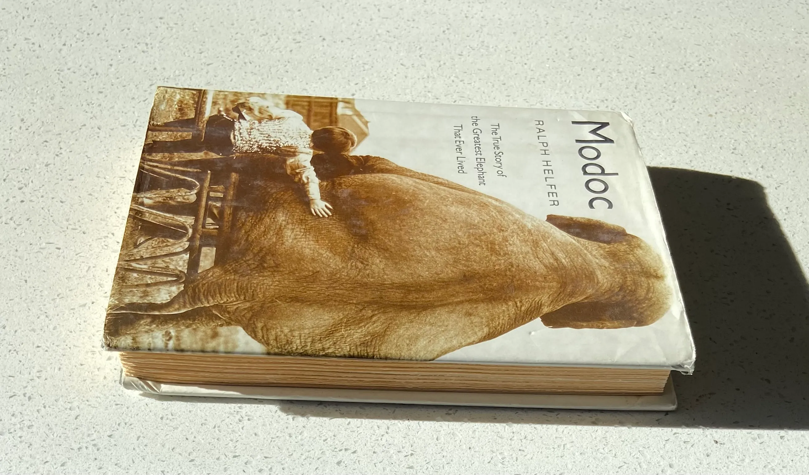 Modoc: The True Story of the Greatest Elephant That Ever Lived - Image 3