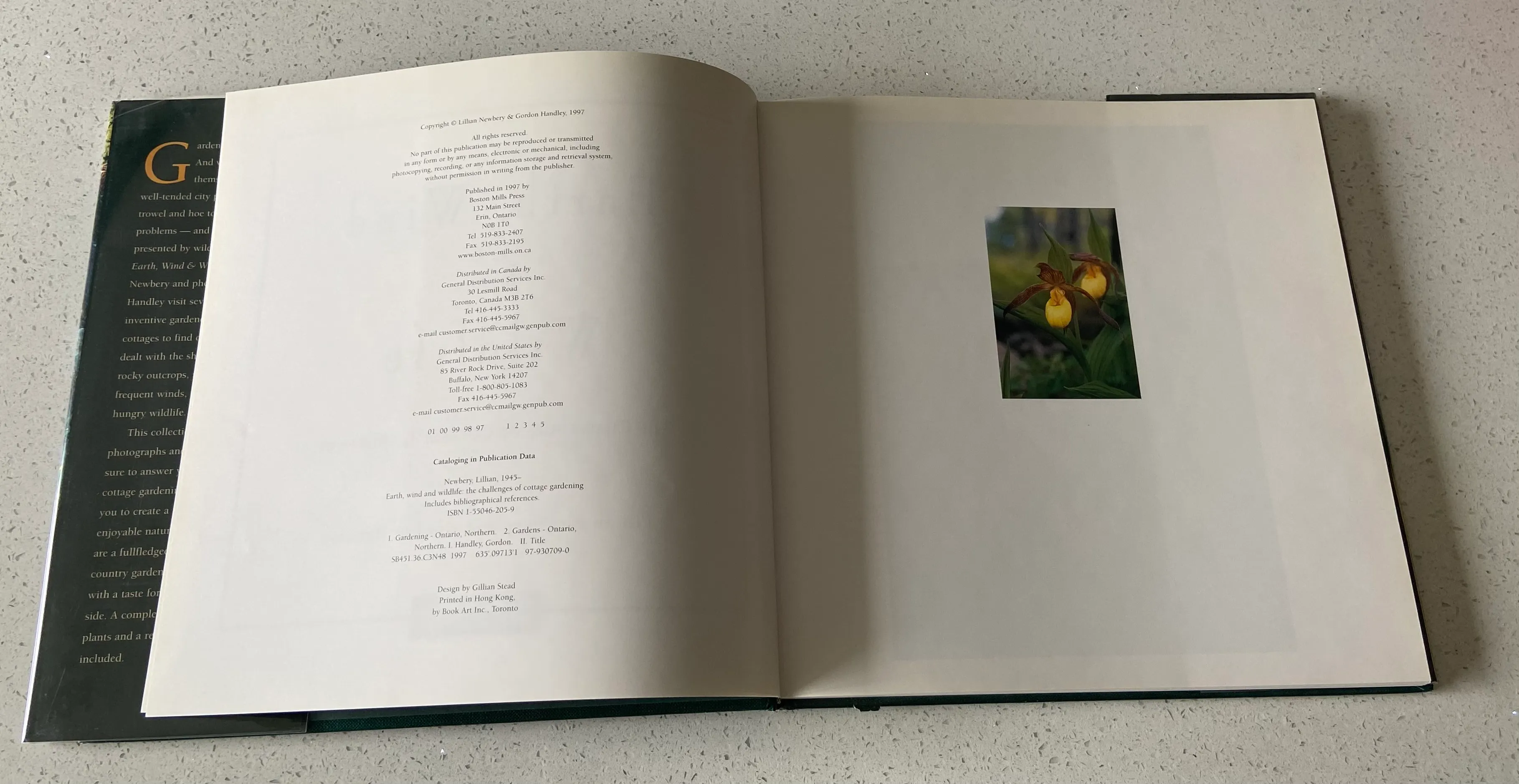 Earth, Wind & Wildlife: The Challenges of Cottage Gardening - Image 4