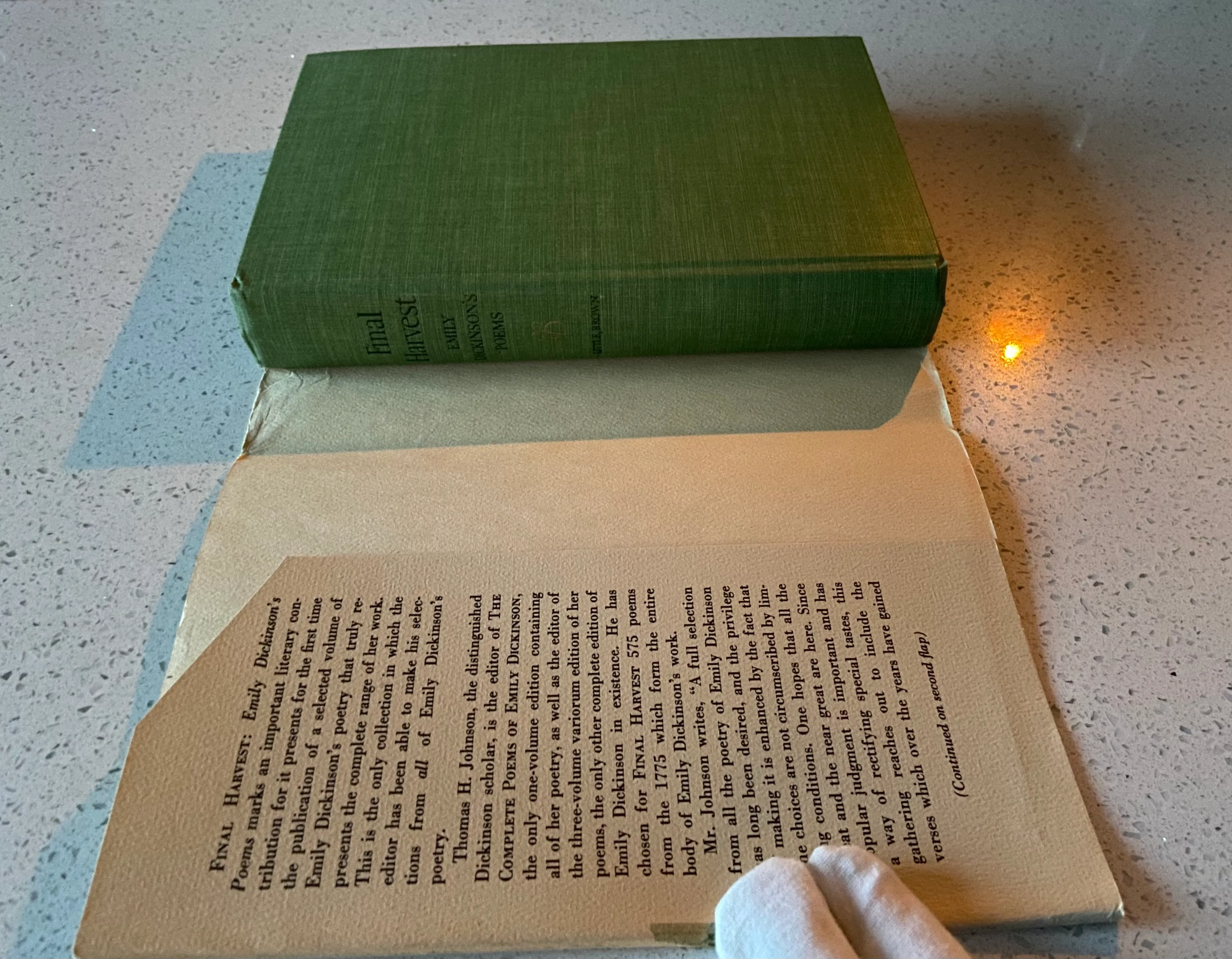 Final Harvest: Emily Dickinson's Poems - Image 5